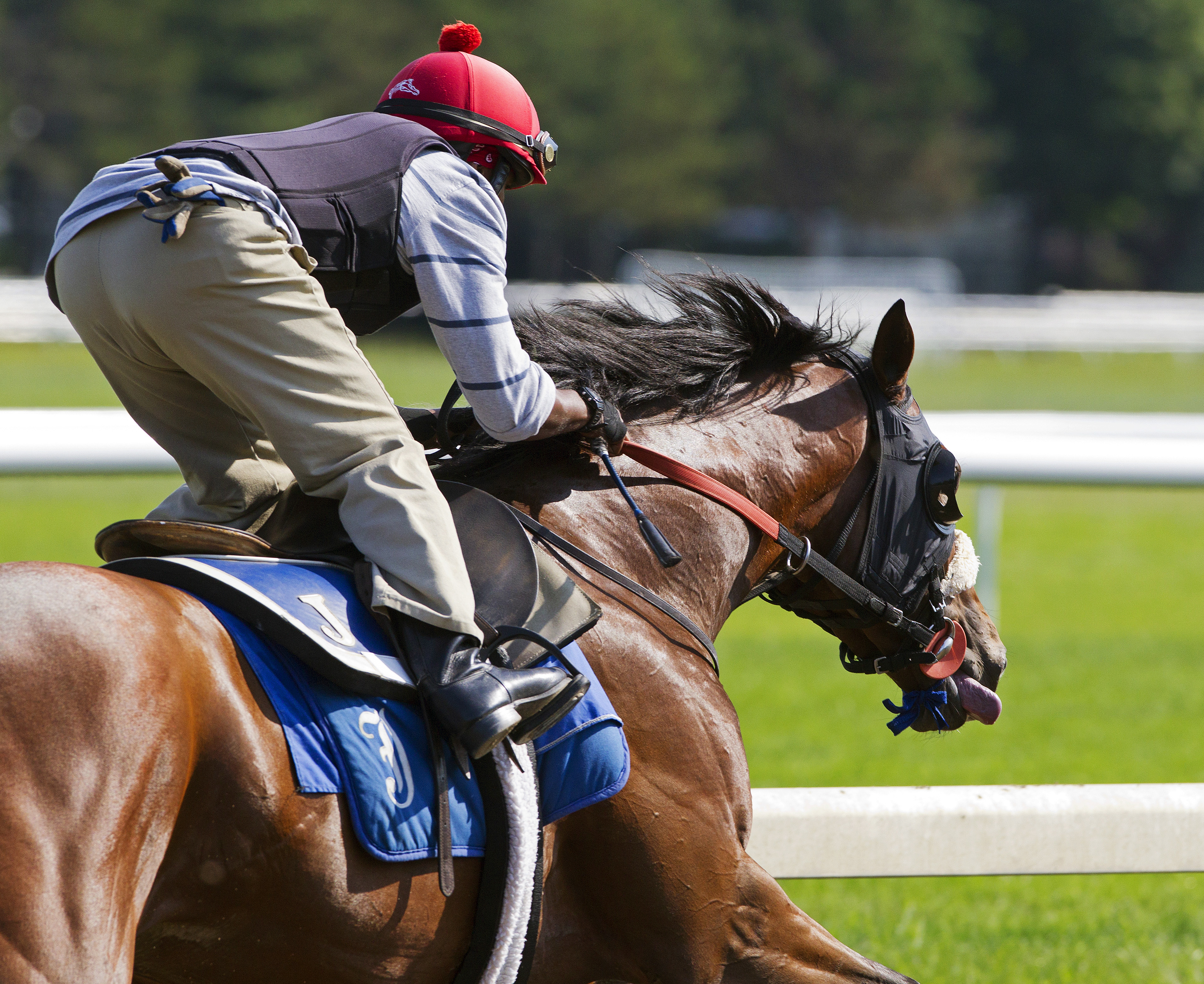 Wicked Strong trains at Saratoga on Aug. 8