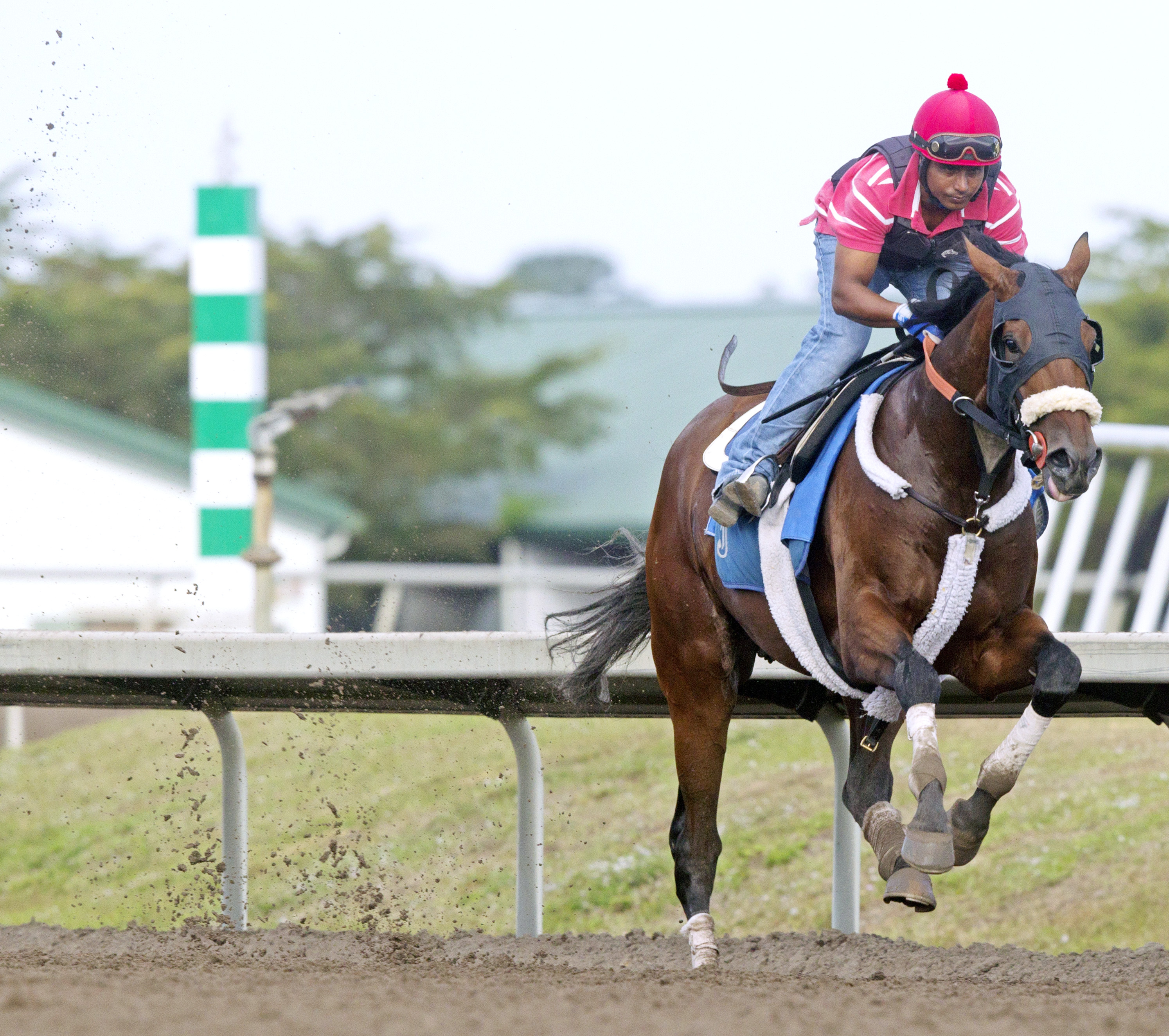 Wicked Strong training at Palm Meadows on Feb. 28