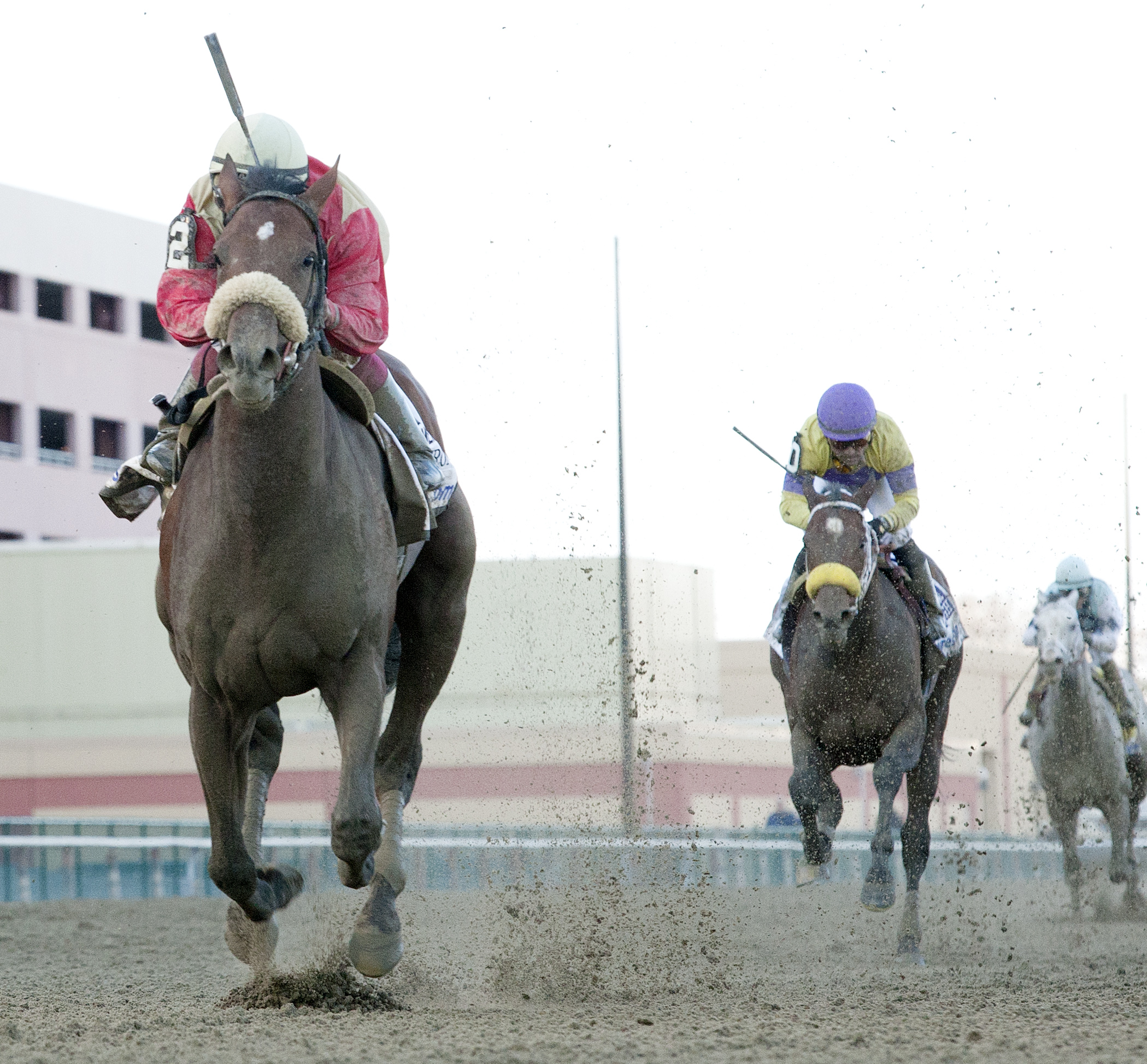 Wicked Strong wins the Wood Memorial