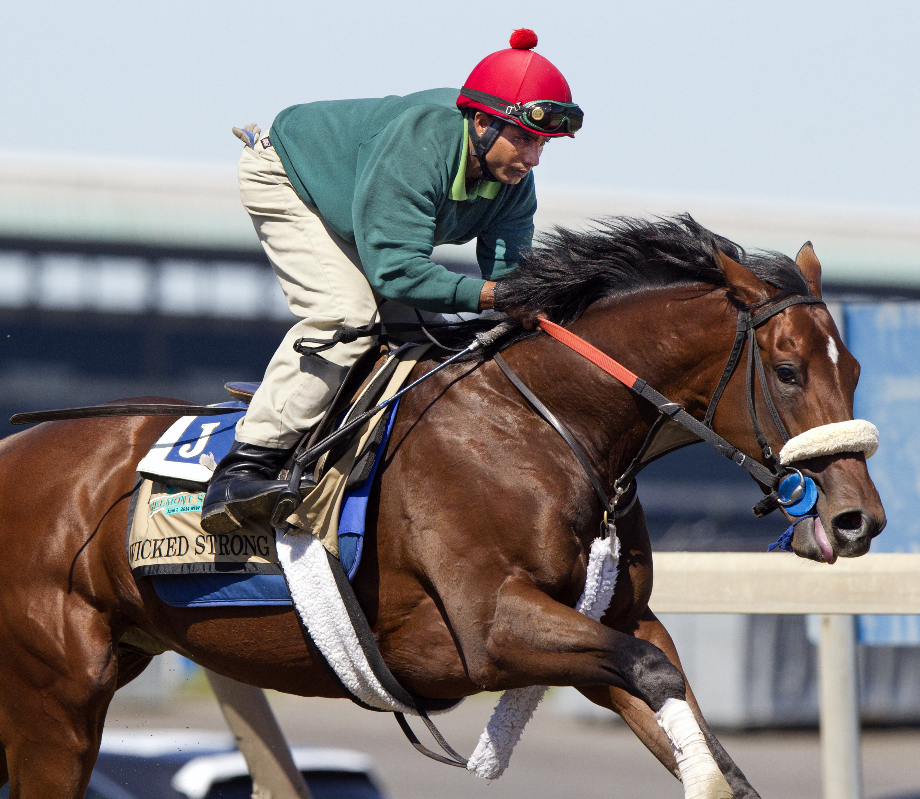 Wicked Strong works 5/25 Belmont