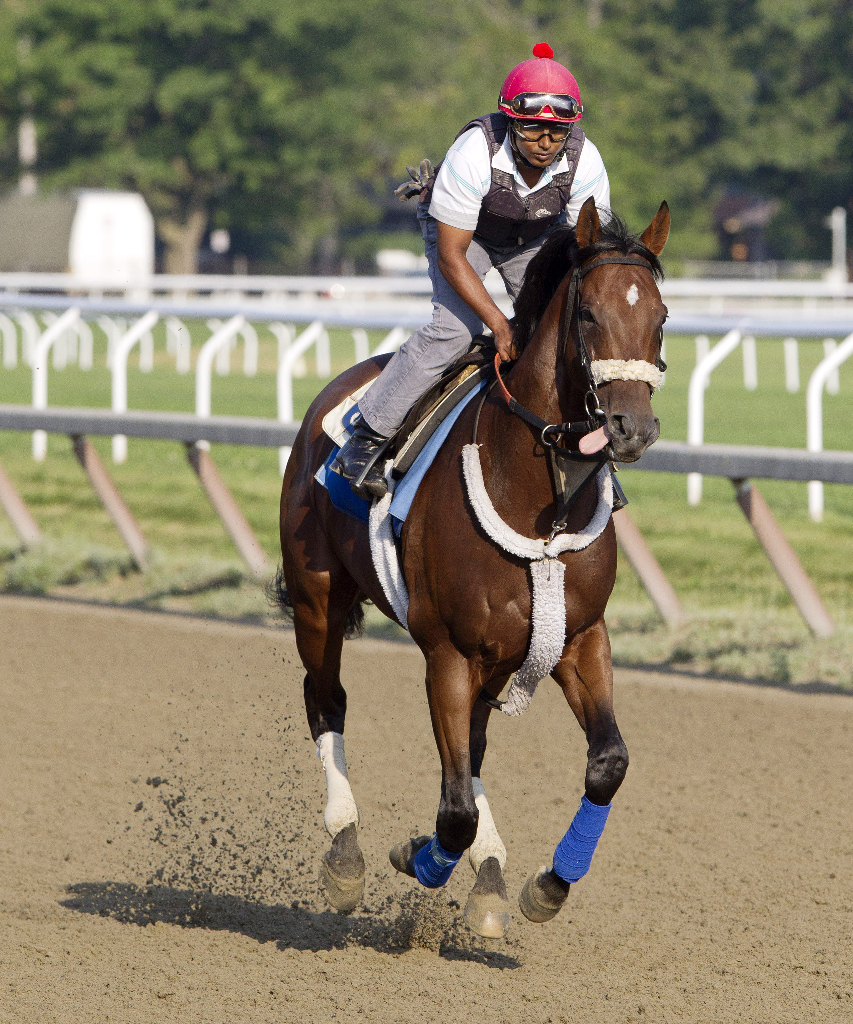Wicked Strong trains at Saratoga on July 28