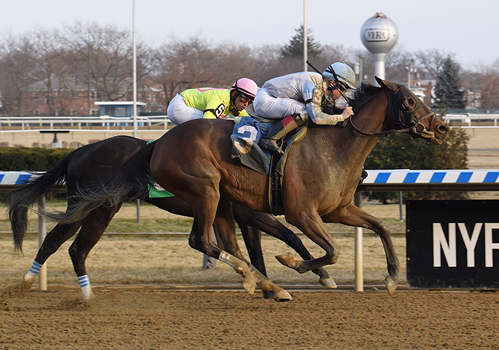 Wicked Trick wins an Dec. 28 optional claimer at Aqueduct Racetrack
