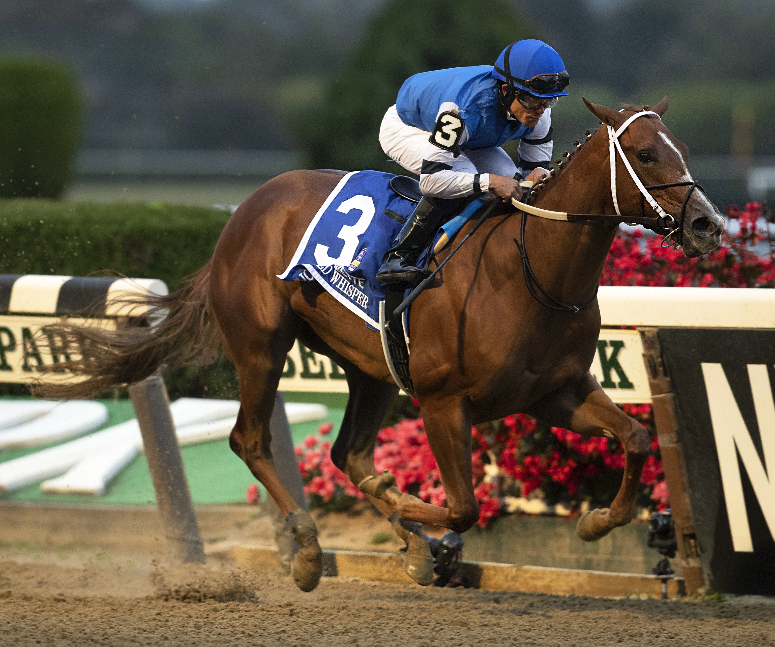 Wicked Whisper wins the 2019 Frizette Stakes