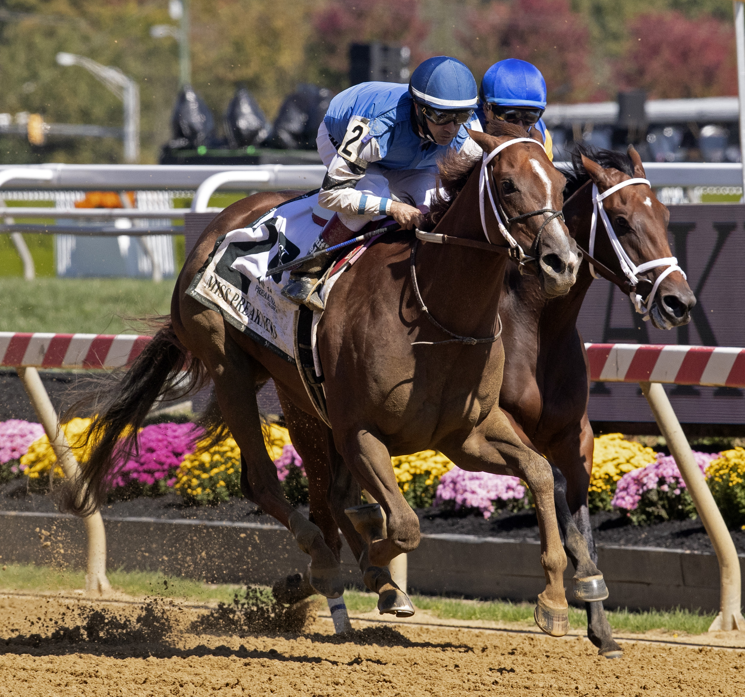 Wicked Whisper wins the 2020 Miss Preakness Stakes at Pimlico Race Course