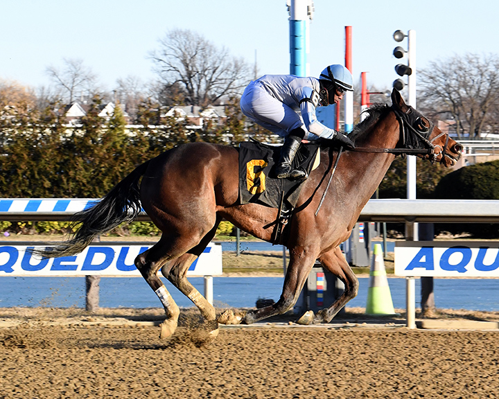 Wicked Trick wins a Jan. 20 allowance race at Aqueduct Racetrack