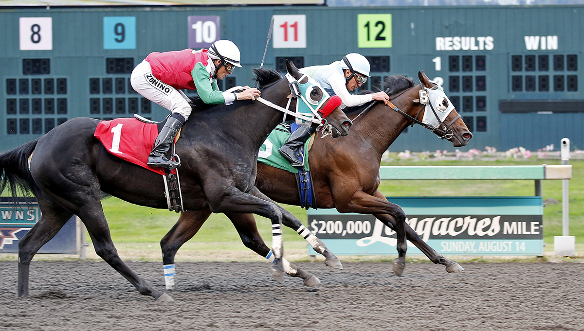 Parkers Delight finishes second in a 2016 claiming race