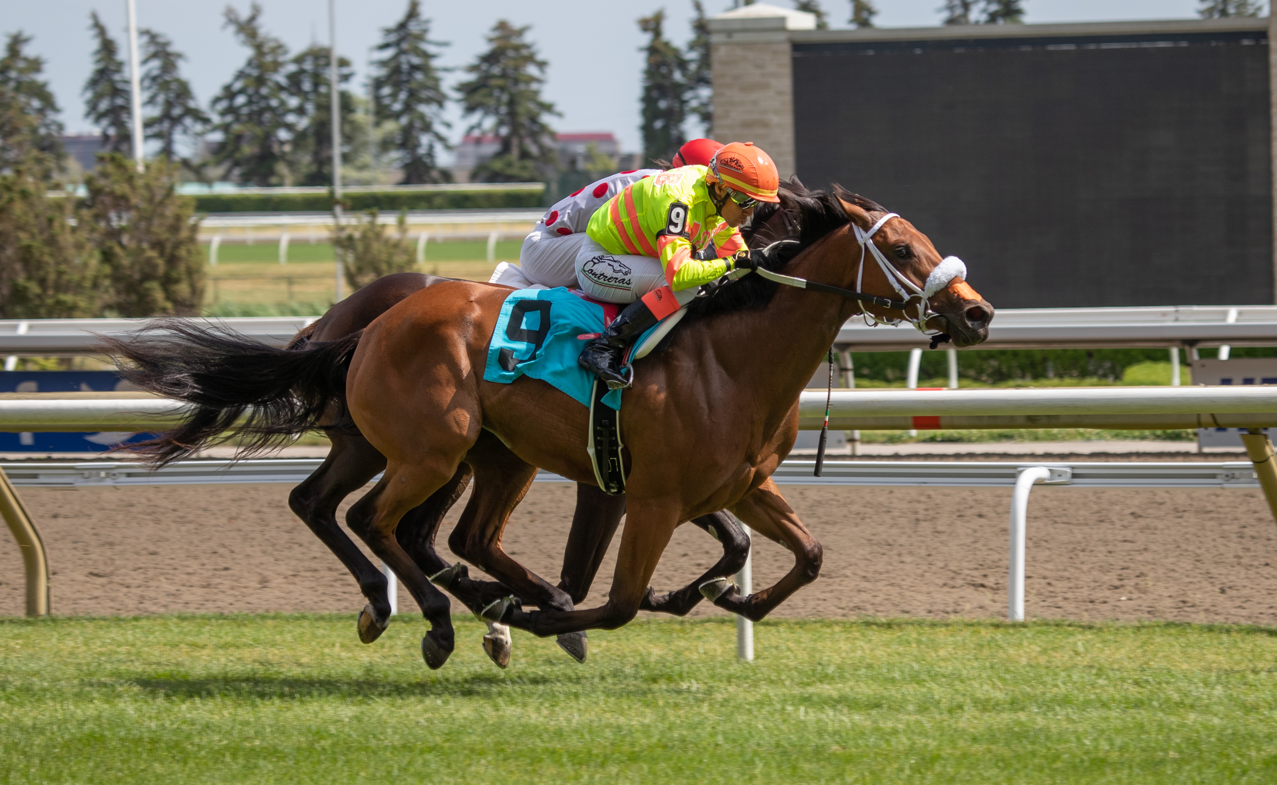 Wickenheiser wins maiden race July 2 2022