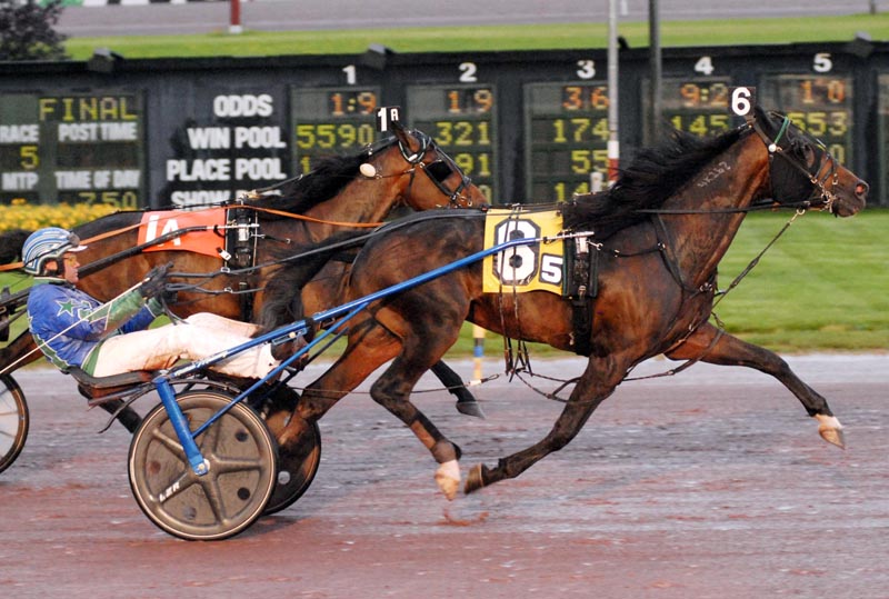 Wicker Hanover