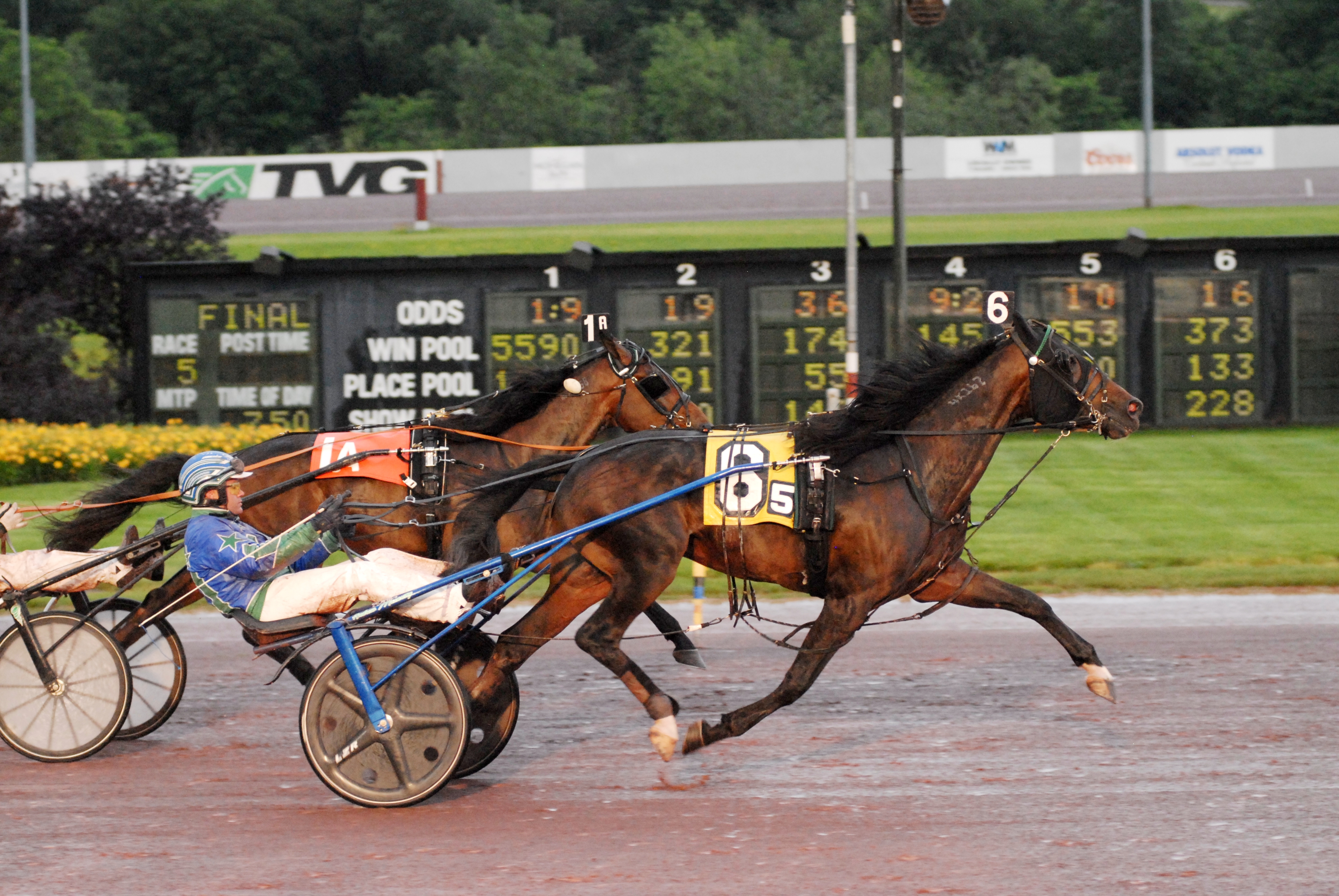 Wicker Hanover