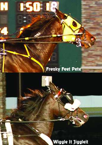 Wiggle It Jiggleit_Freaky Feet Pete