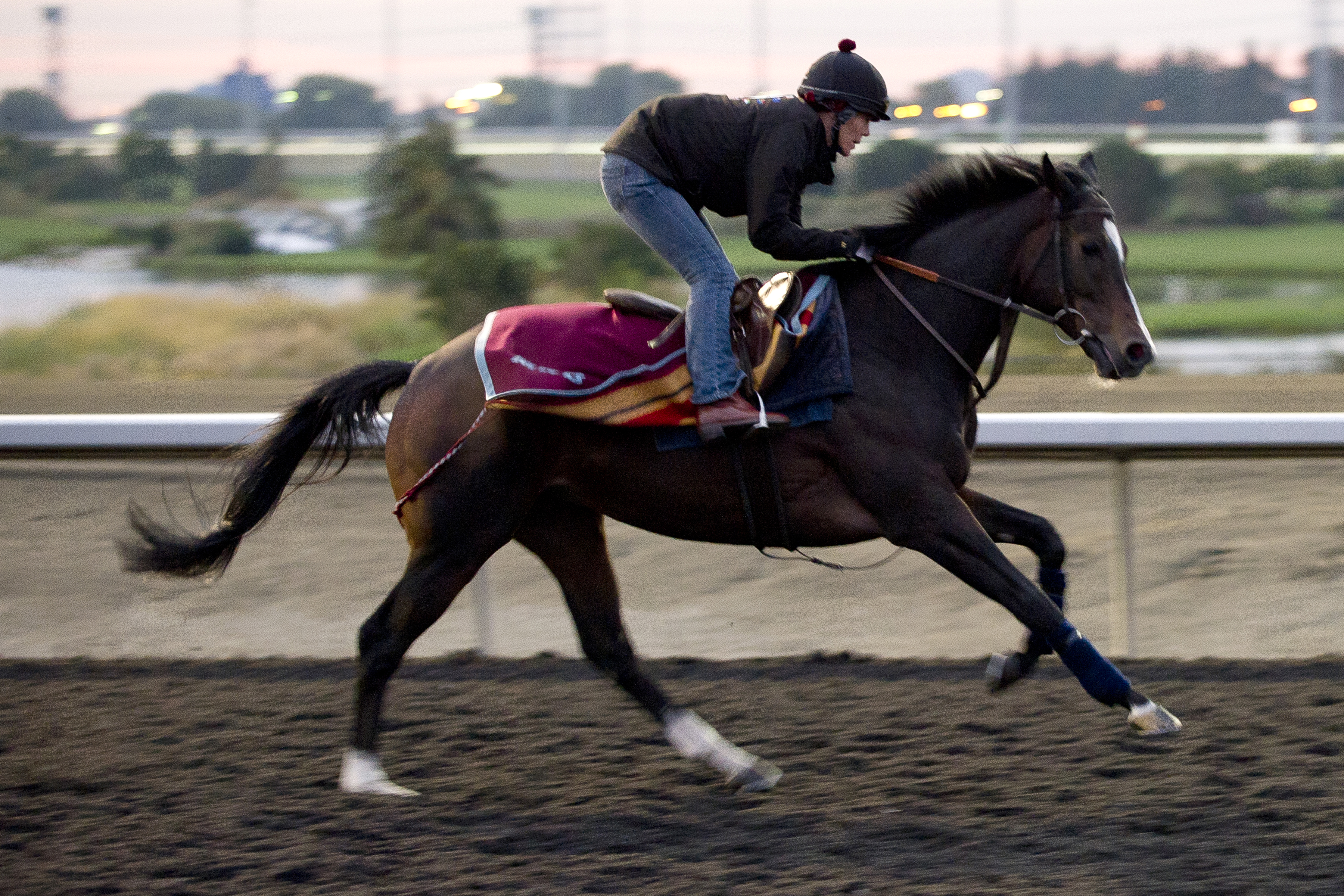 Wigmore Hall at Woodbine
