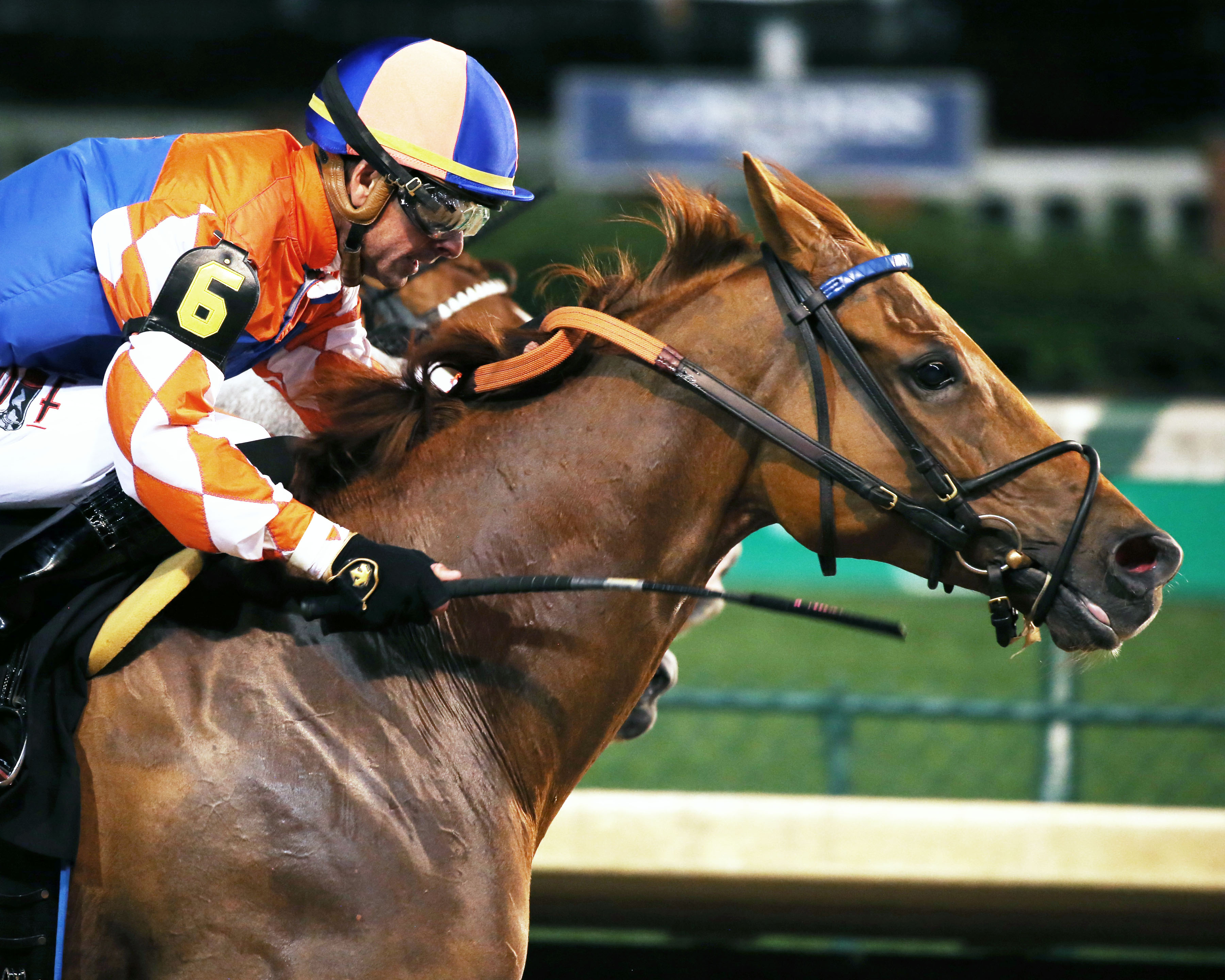 Wilbo wins the 2019 Aristides Stakes