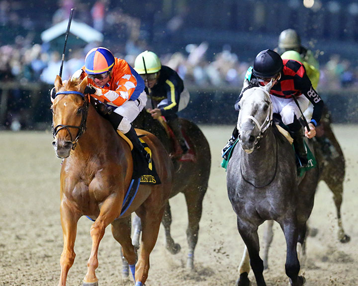 Wilbo wins the 2019 Aristides