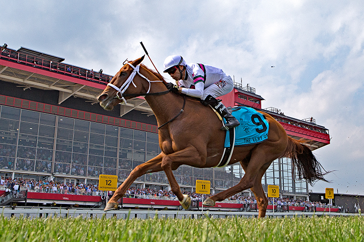 Wild About Star wins the 2019 The Very One Stakes