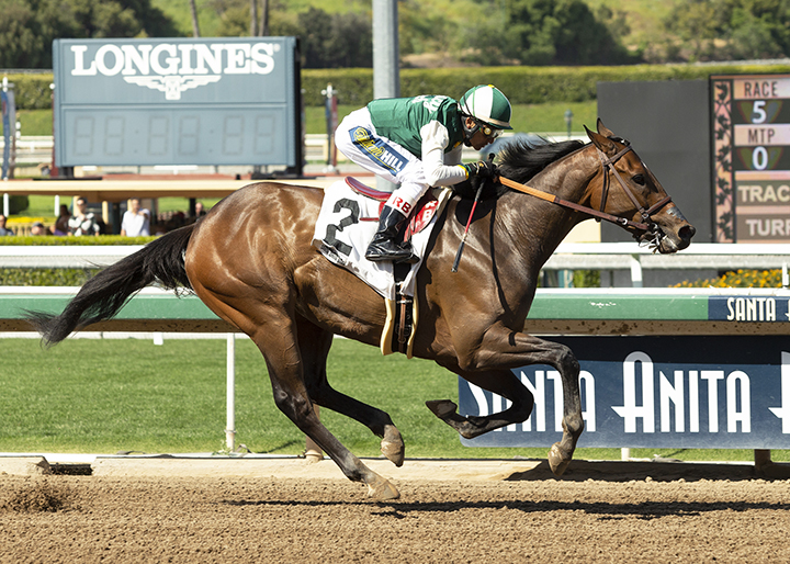 Wild Bean wins a March 31 allowance