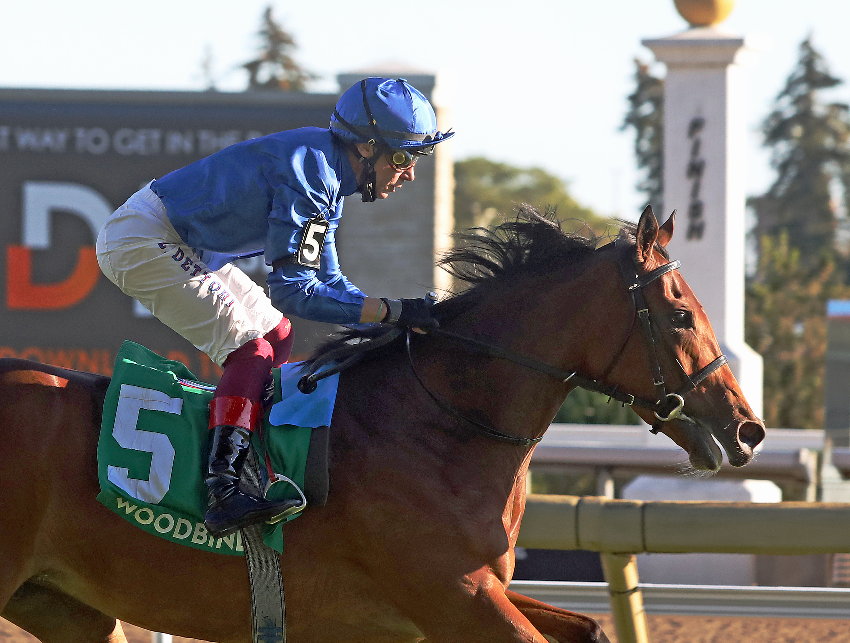 Wild Beauty wins Natalma 9-19-2021