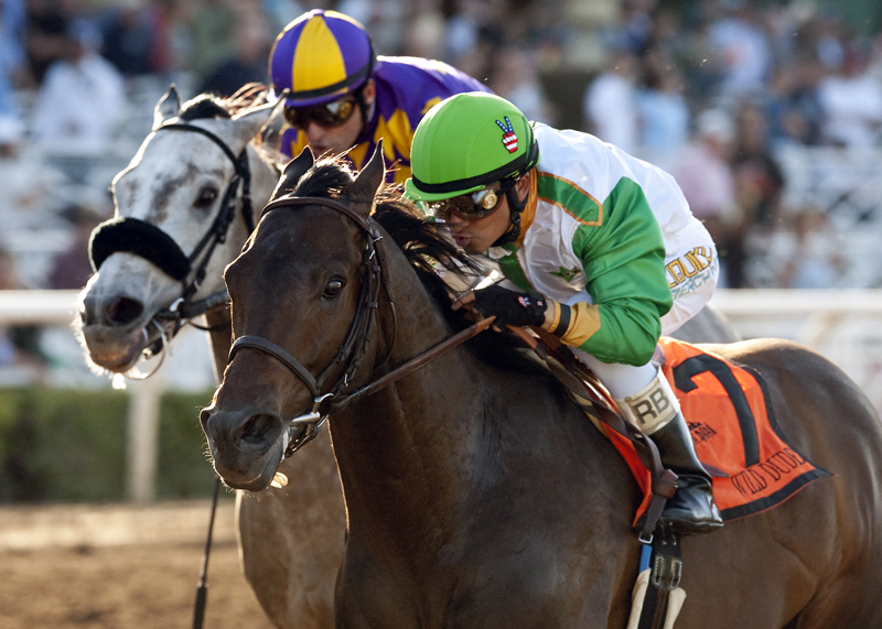 Wild Dude wins 2015 San Carlos