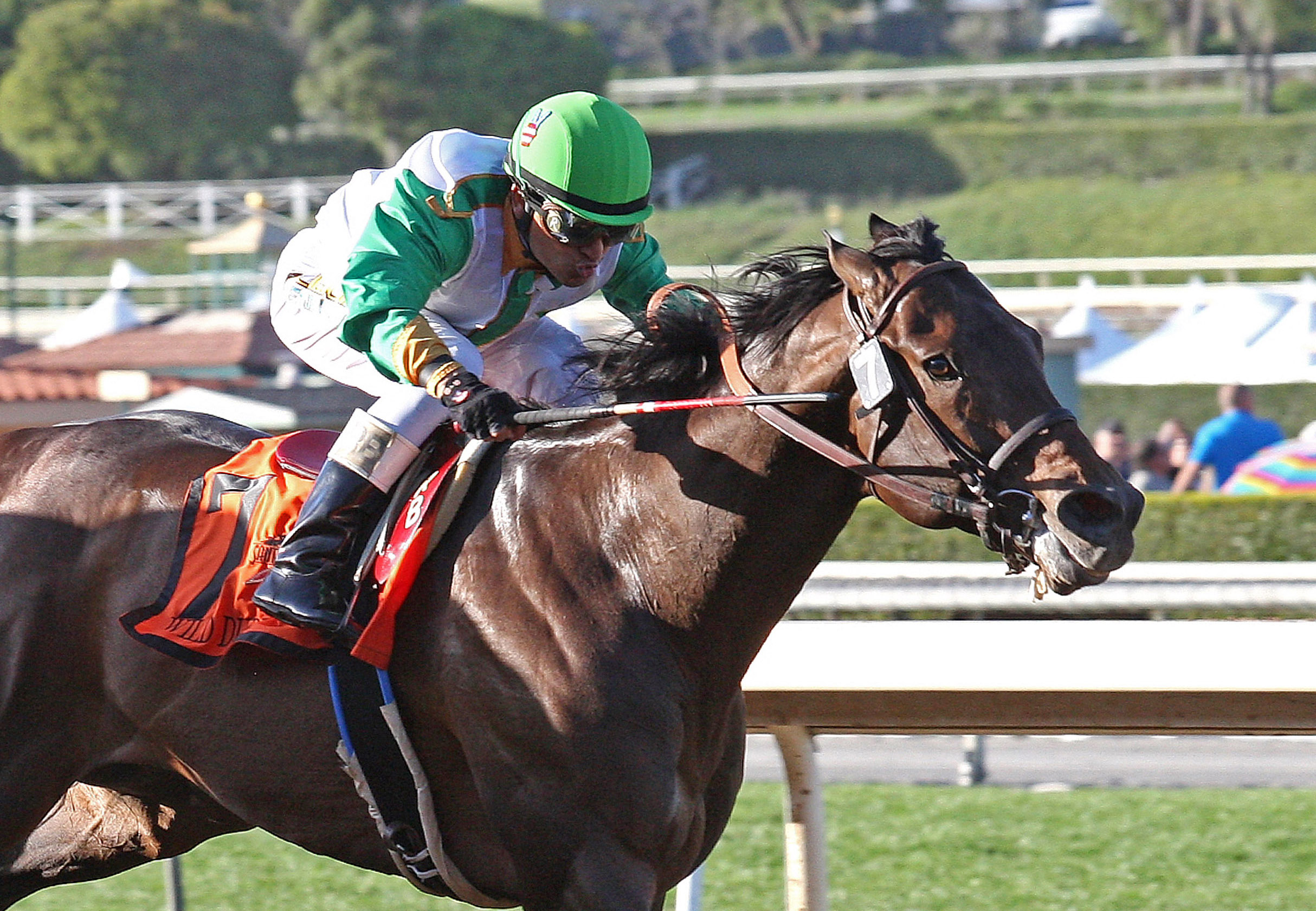 Wild Dude wins the San Carlos