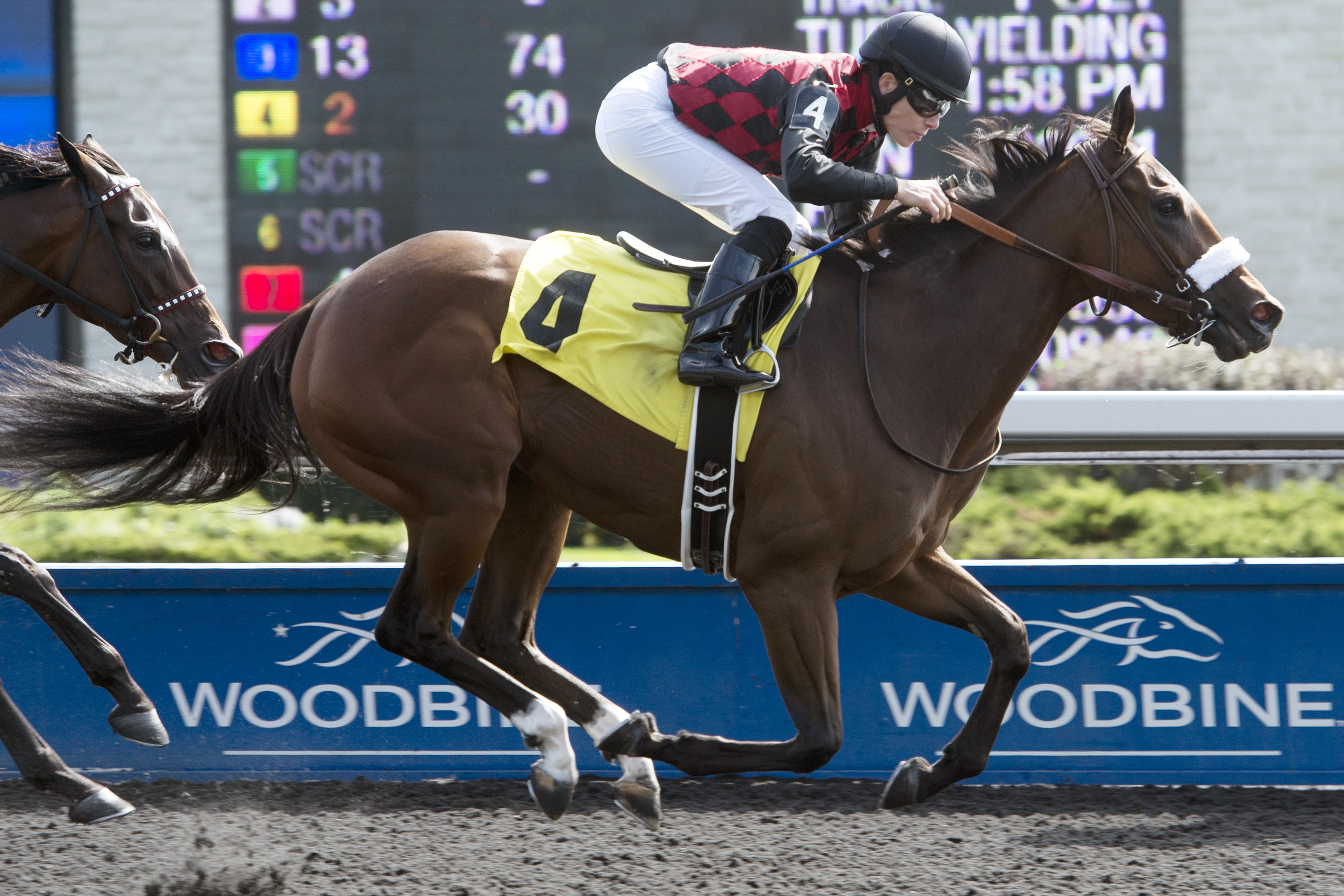 Wild N Clever wins a claiming race on Oct. 20, 2015