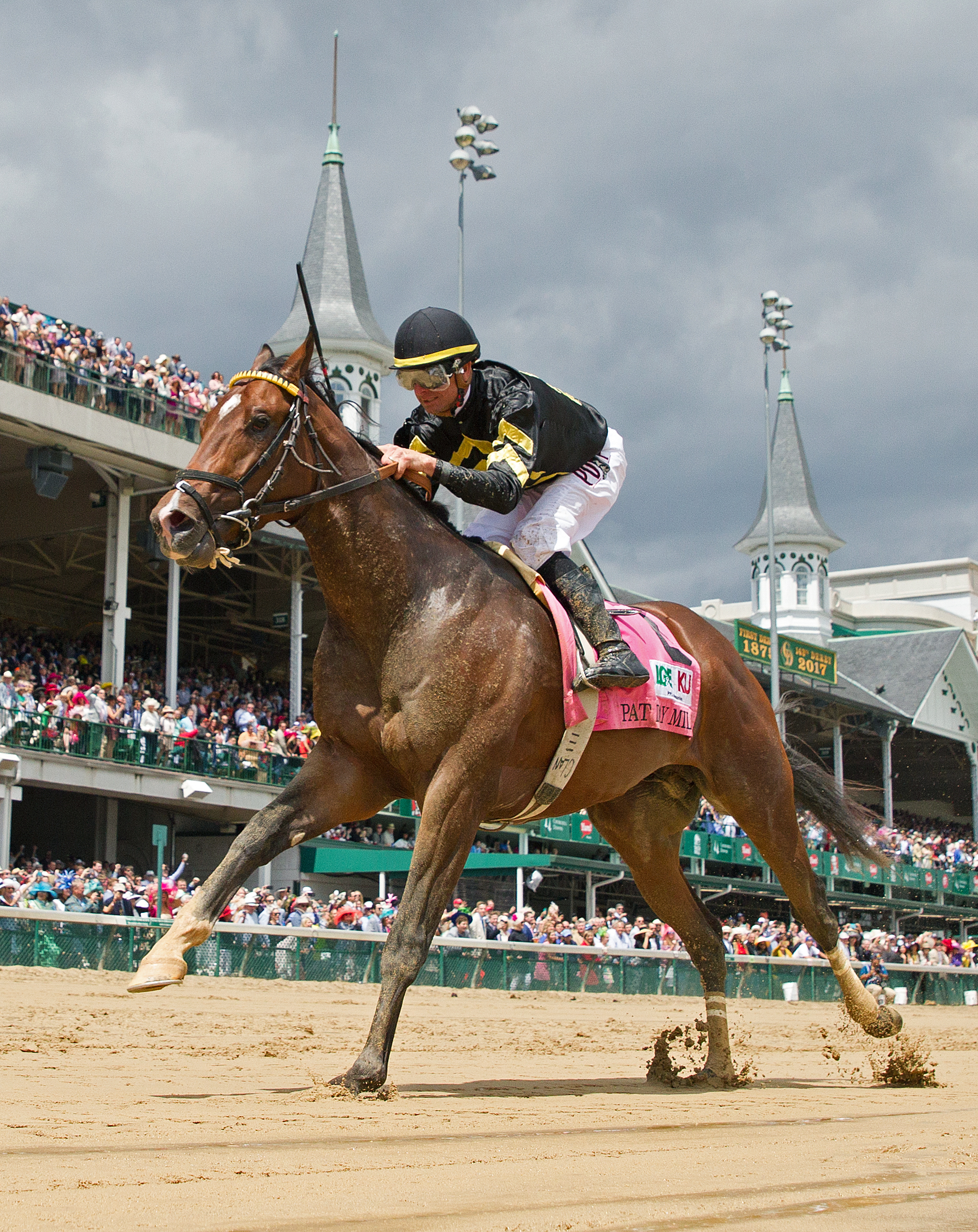 Wild Shot wins the Pay Day Mile