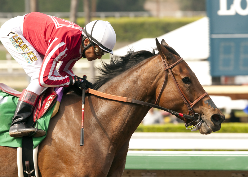 Wild in the Saddle wins 2015 Dream of Summer