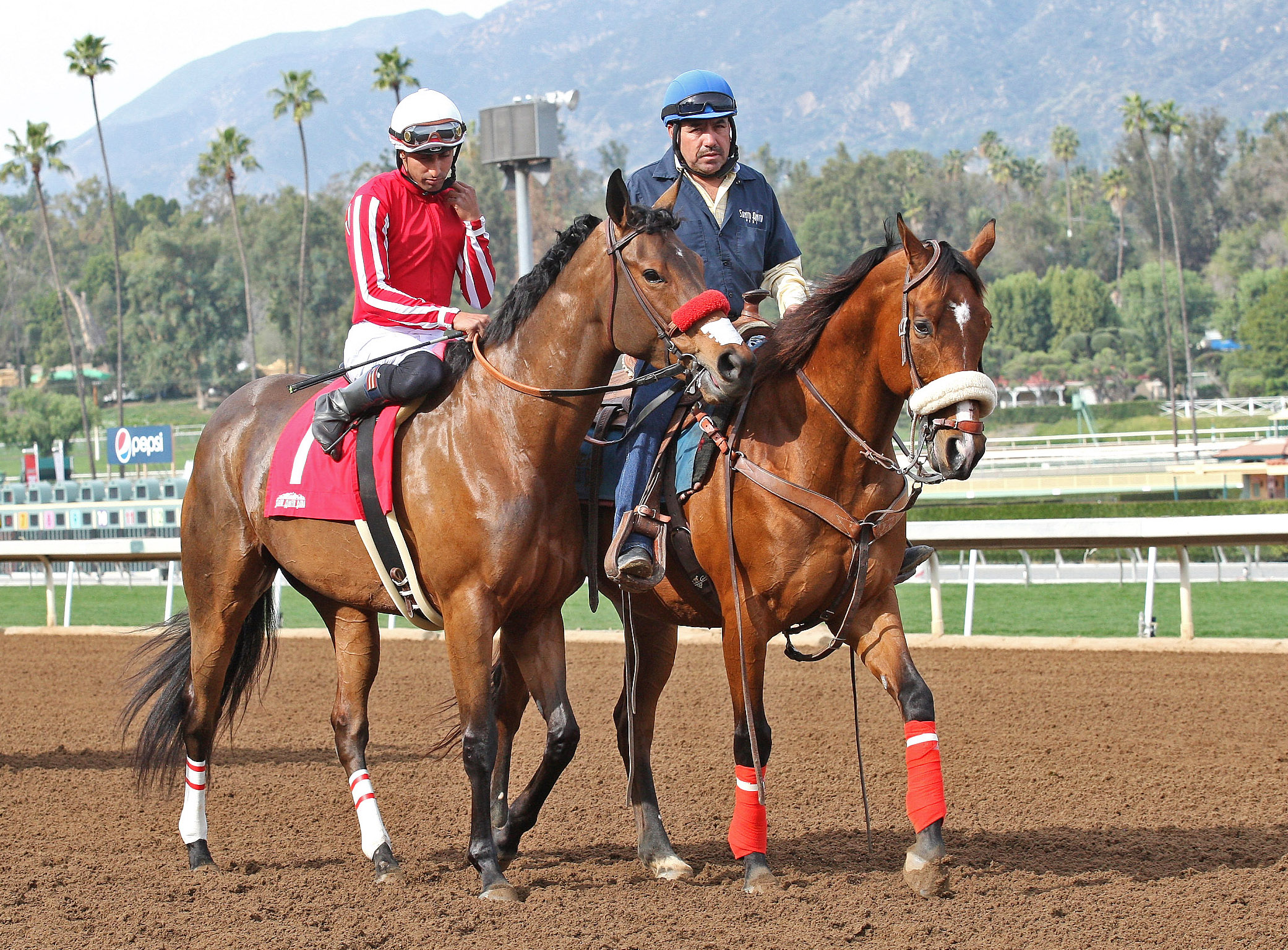 Wild in the Saddle at a claiming race in January
