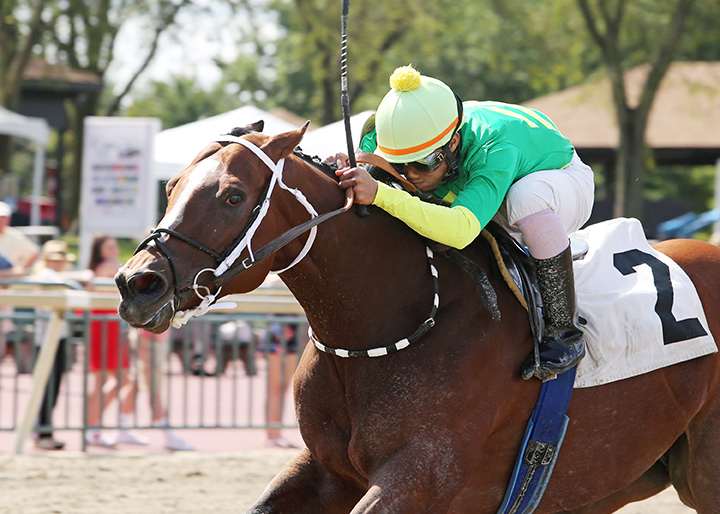 Wildcat Combat wins the 2019 Power By Far Stakes at Parx Racing