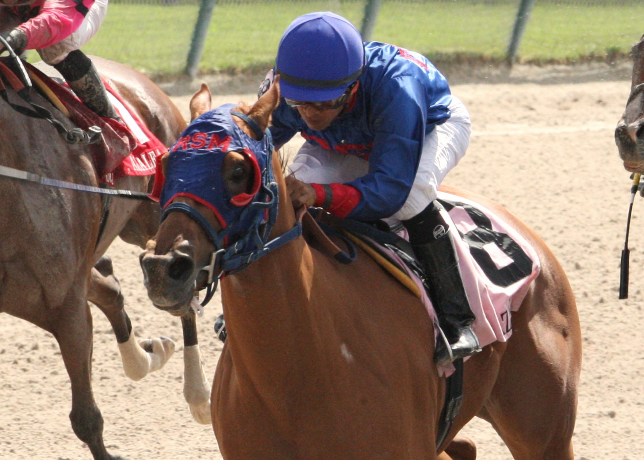 Wildcat Lily, Azalea Stakes