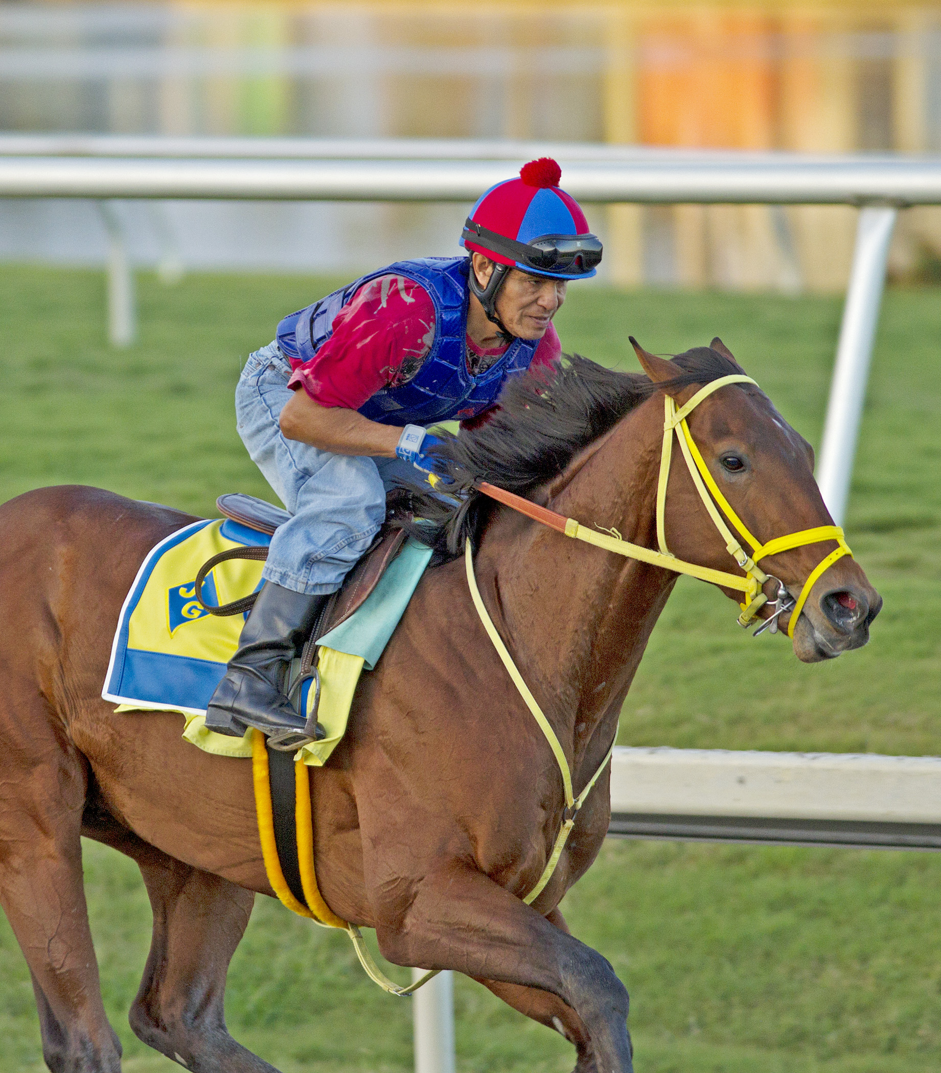 Wildcat Red 3-15-2014