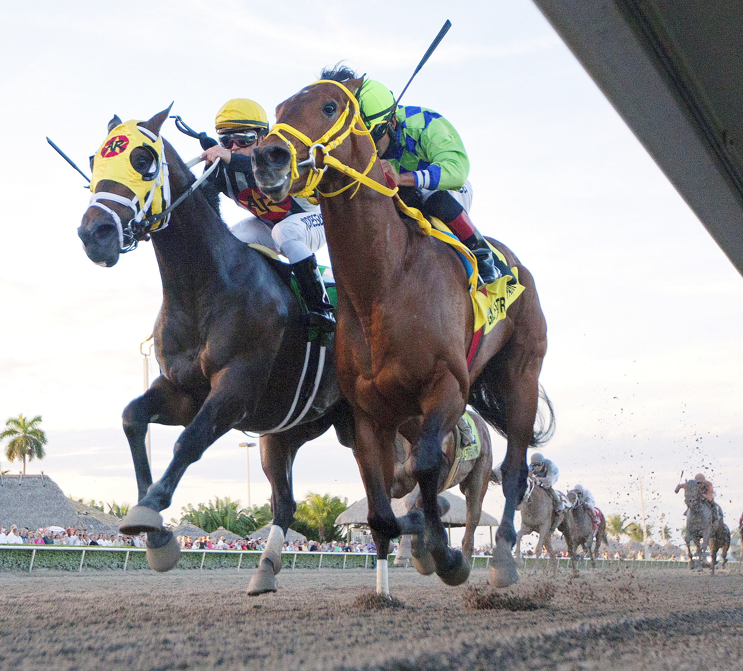 Wildcat Red wins the 2014 Fountain of Youth