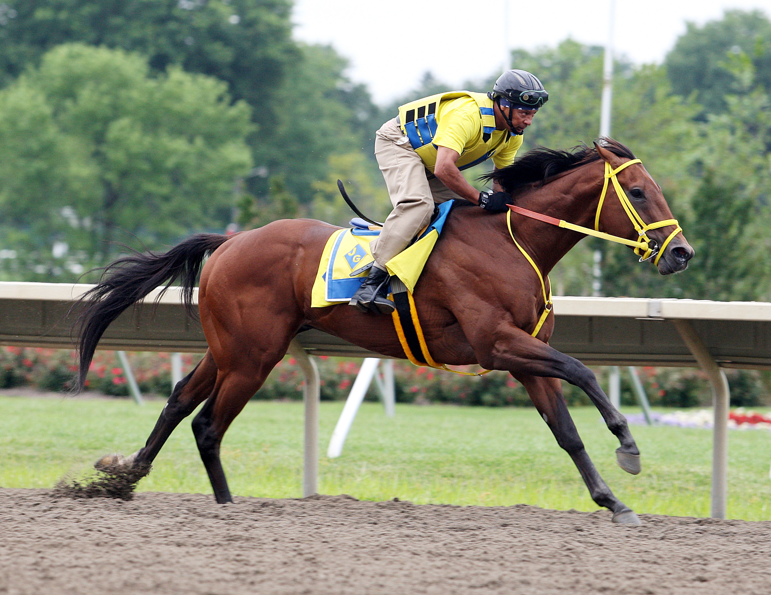 Wildcat Red works at Monmouth Park on July 20