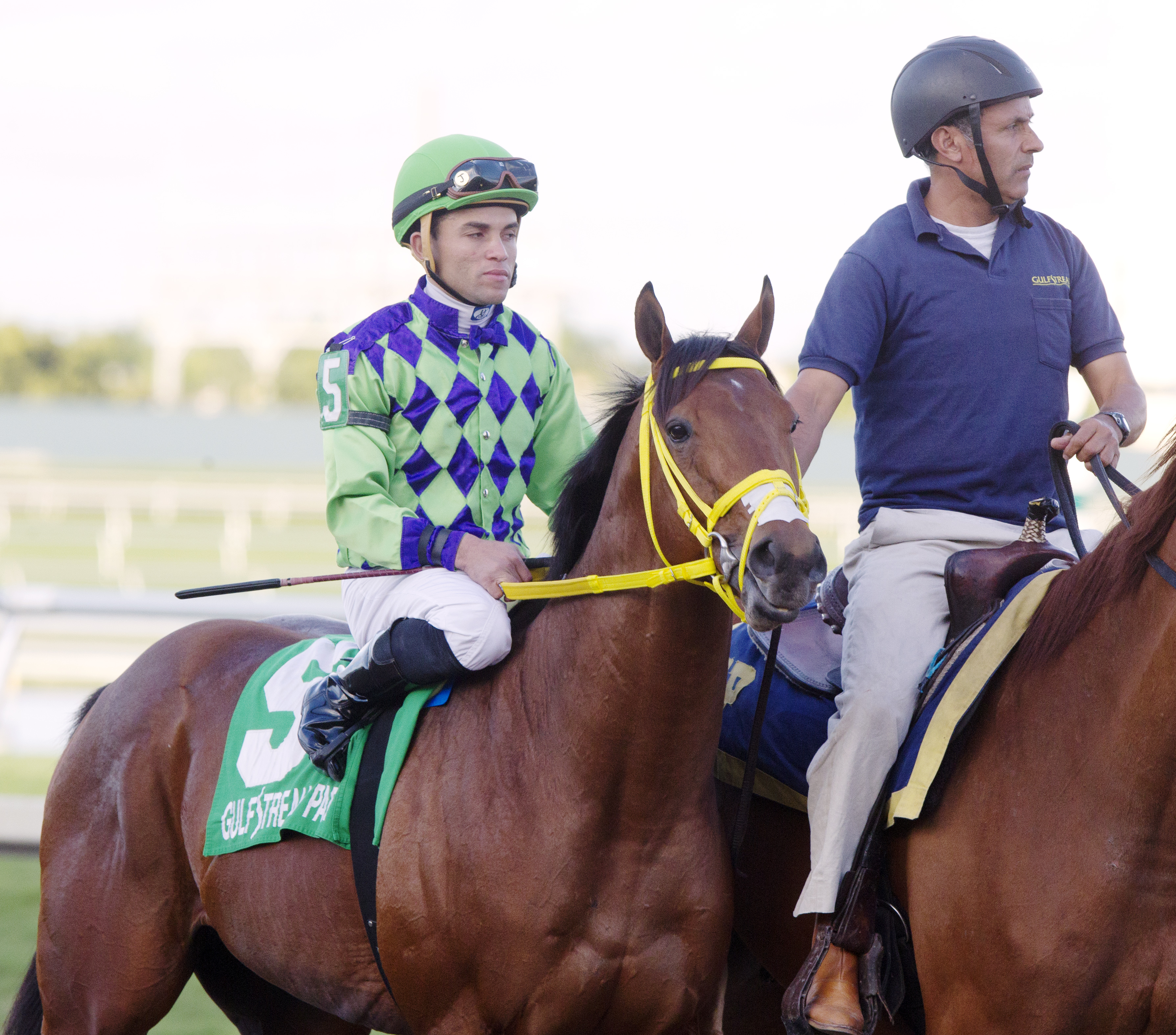 Wildcat Red finishes fifth in the Florida Sunshine Millions Classic