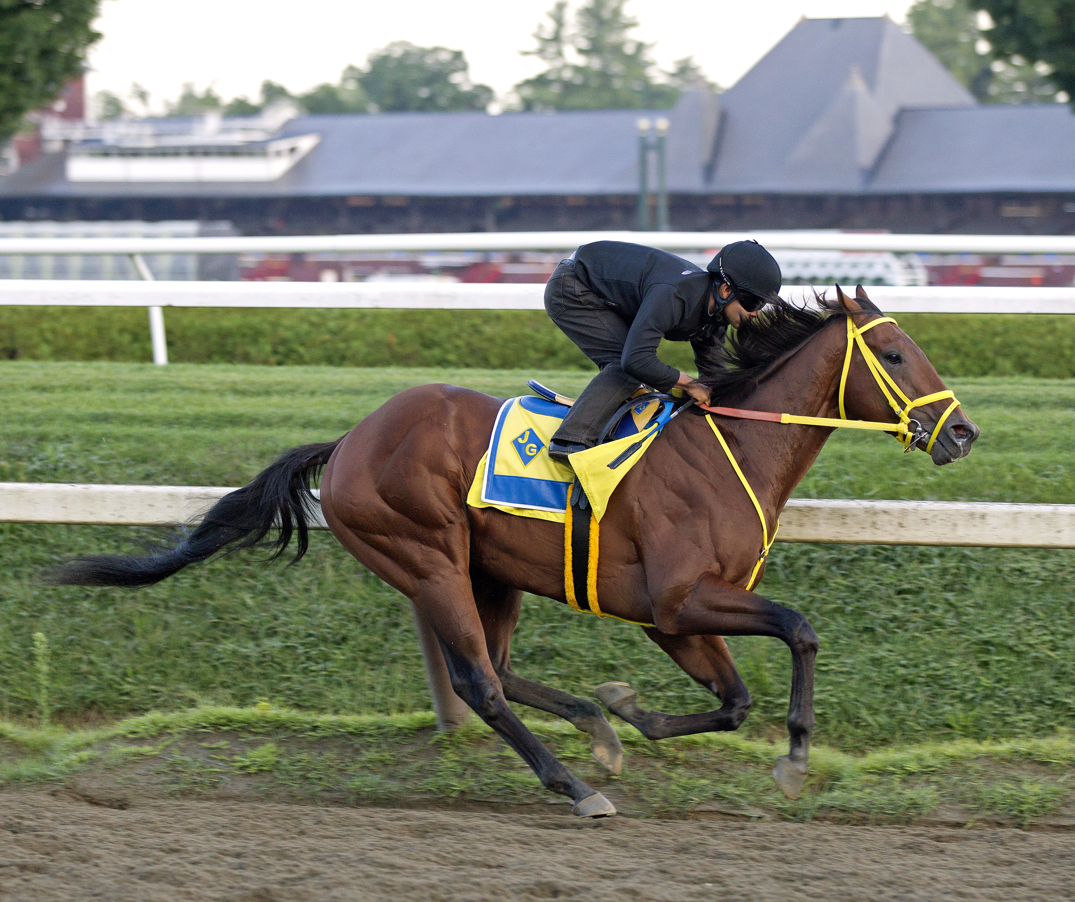 Wildcat Red trains at Saratoga