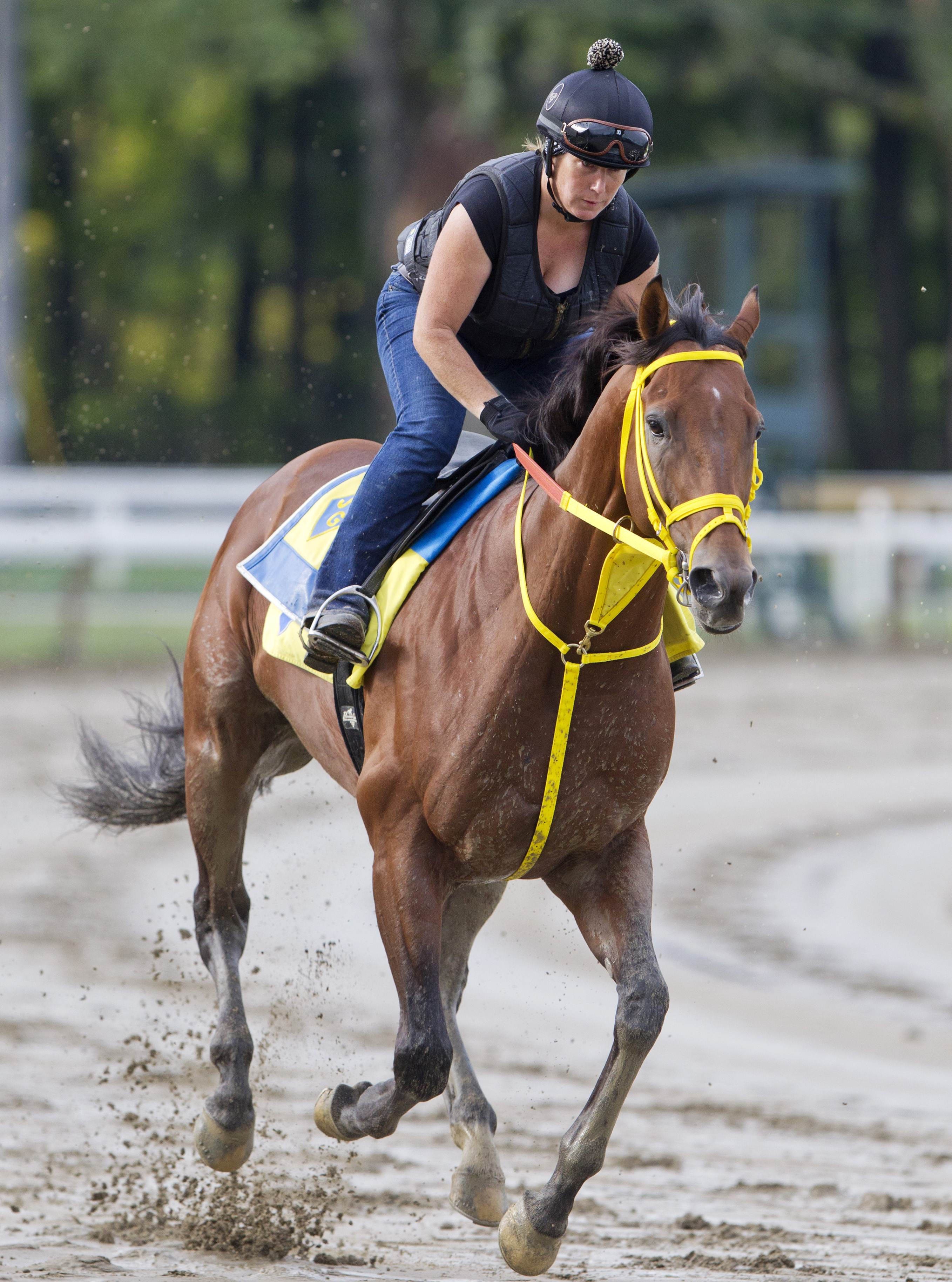 Wildcat Red trains at Saratoga on Aug. 21