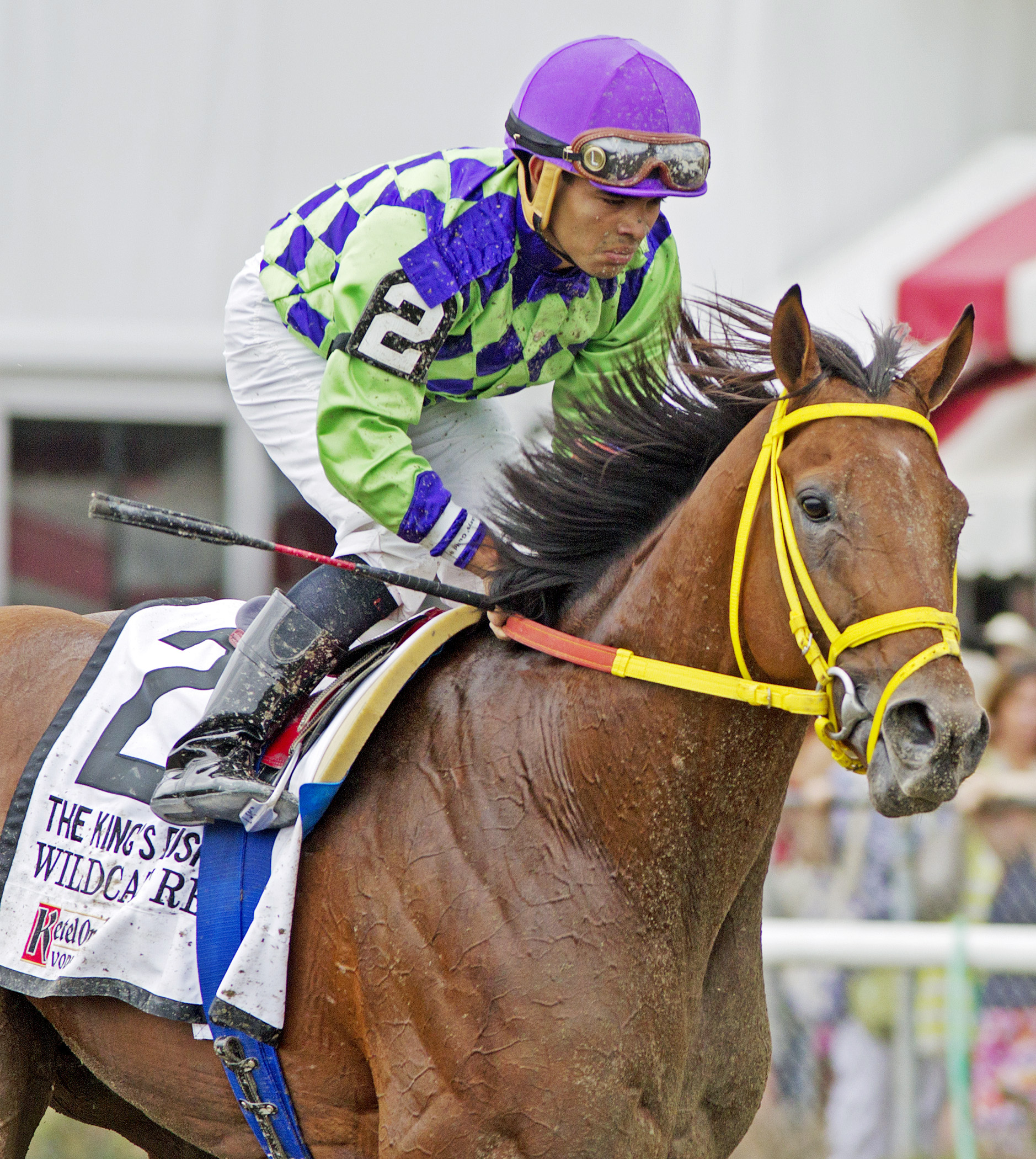 Wildcat Red finishes fifth in the King's Bishop