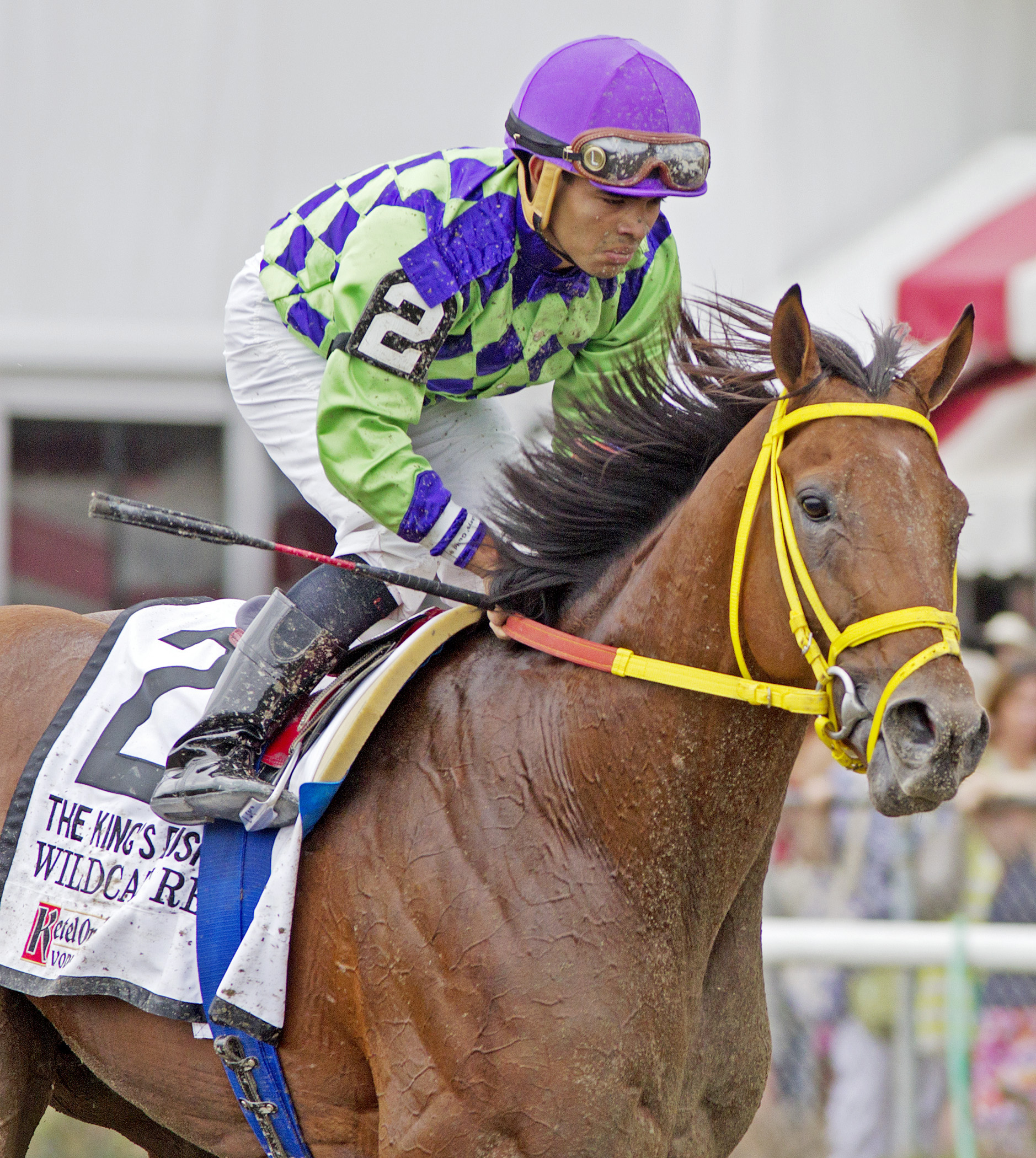 Wildcat Red finishes fifth in the King's Bishop