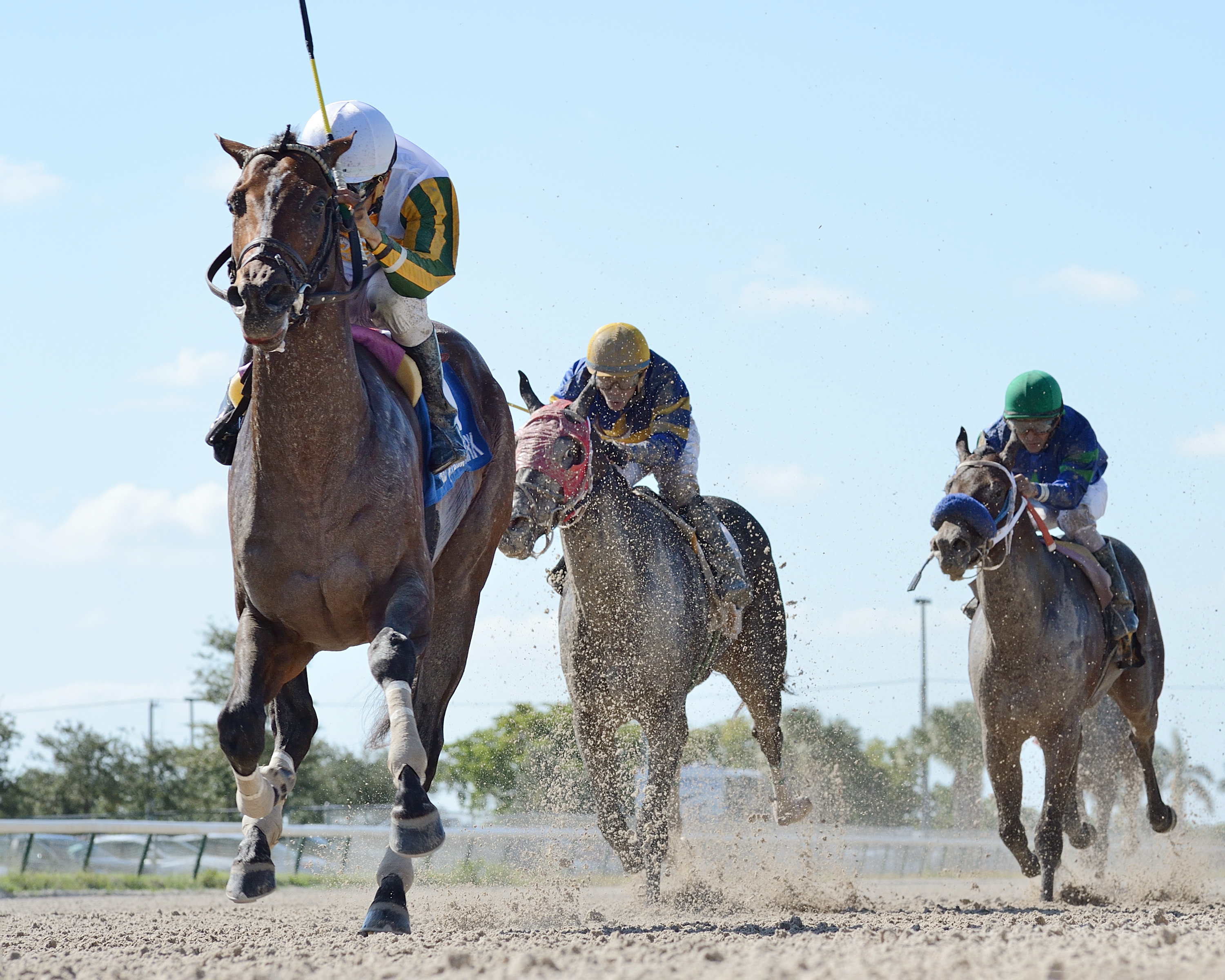 Wildcats Legacy wins the 2017 Juvenile Sprint Stakes