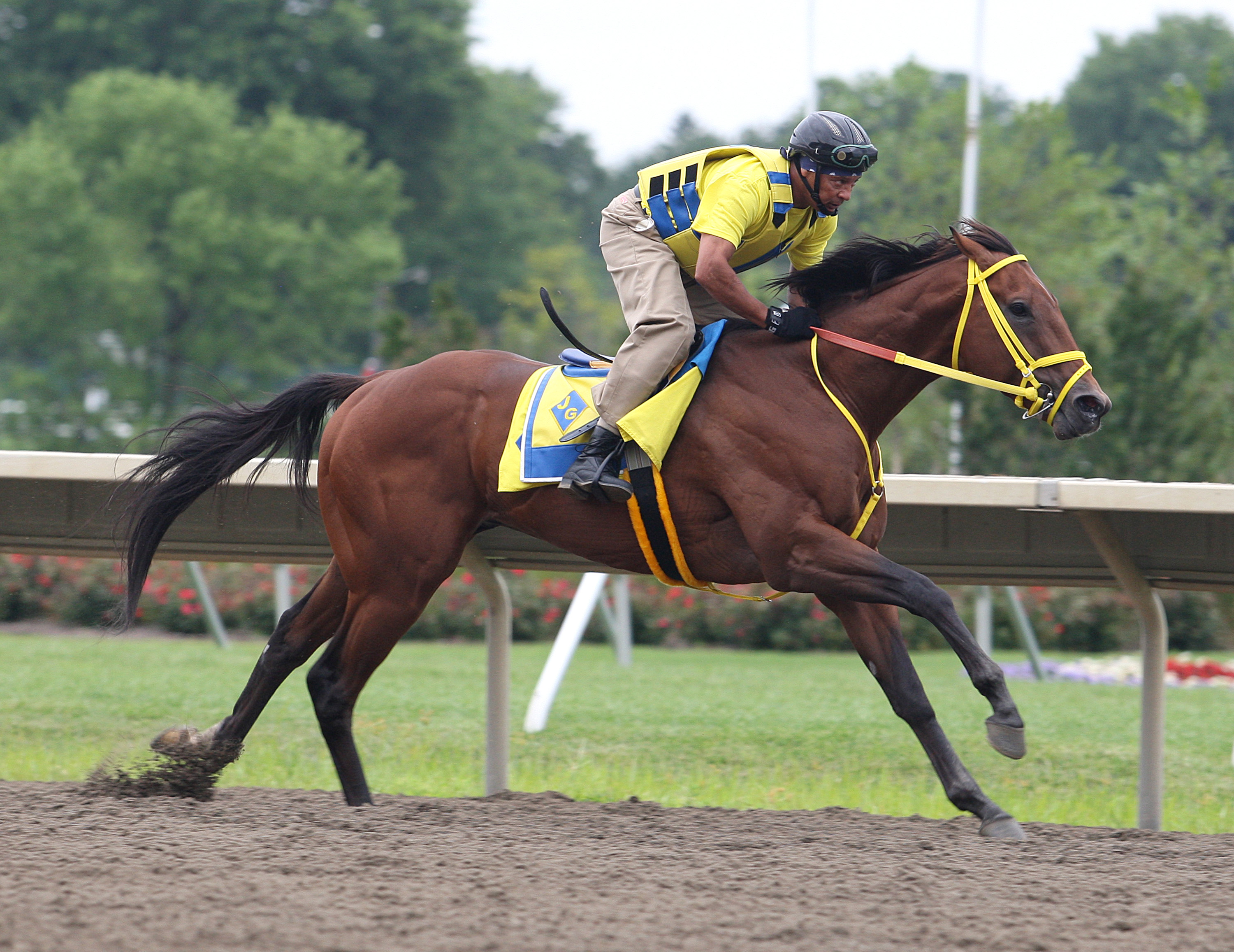 Wildcat Red works July 20 Monmouth
