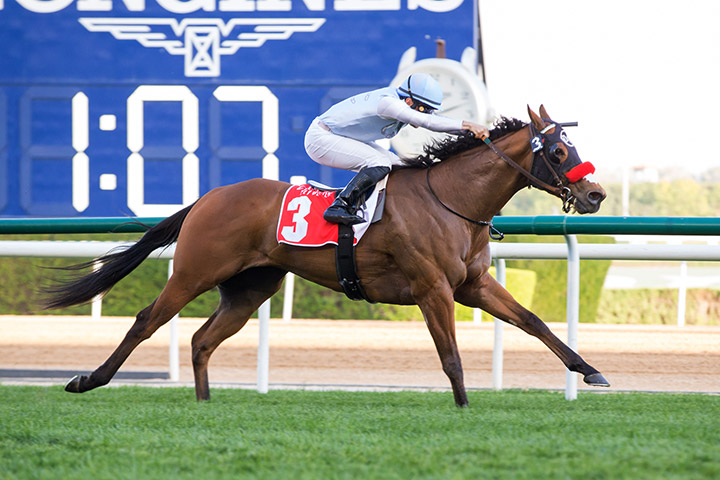 Wildman Jack wins the Nad Al Sheba Turf Sprint at Meydan Racecourse
