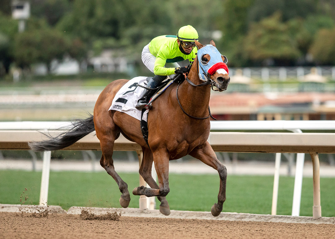 Wildman Jack wins the 2021 Palos Verdes Stakes at Santa Anita