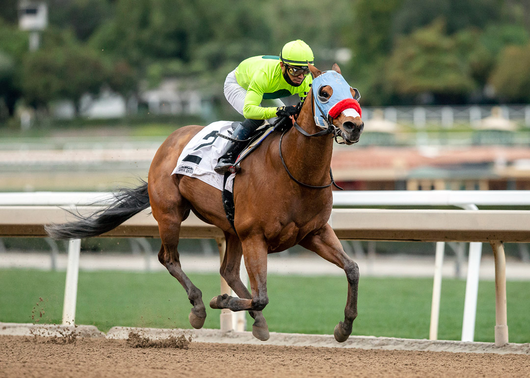 Wildman Jack wins the 2021 Palos Verdes Stakes at Santa Anita