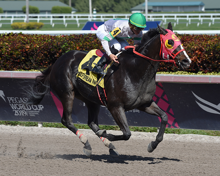 Wildwood Dancer wins the Rail Splitter Stakes