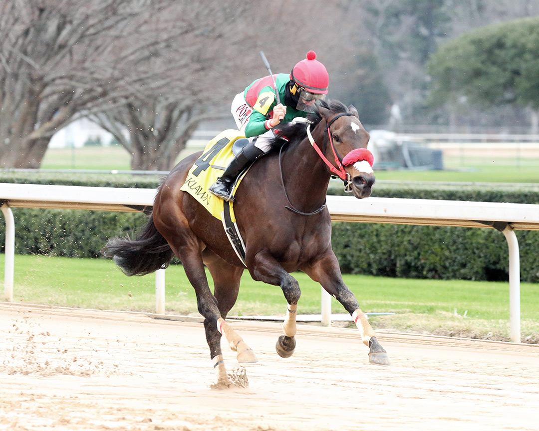 Wildwood's Beauty wins a Jan. 2 conditional allowance at Oaklawn