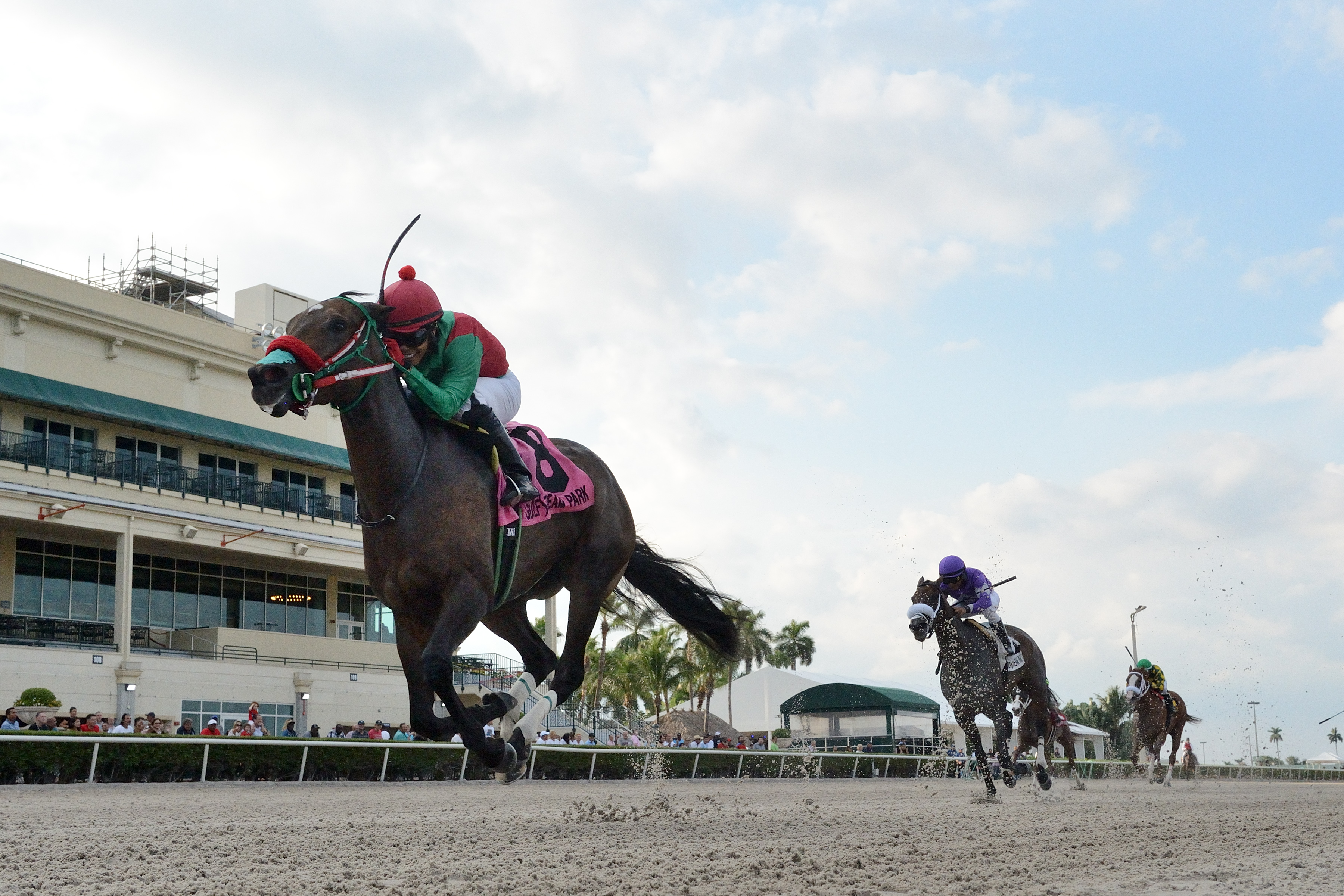 Wildwood's Beauty wins the 2019 Sheer Drama Stakes