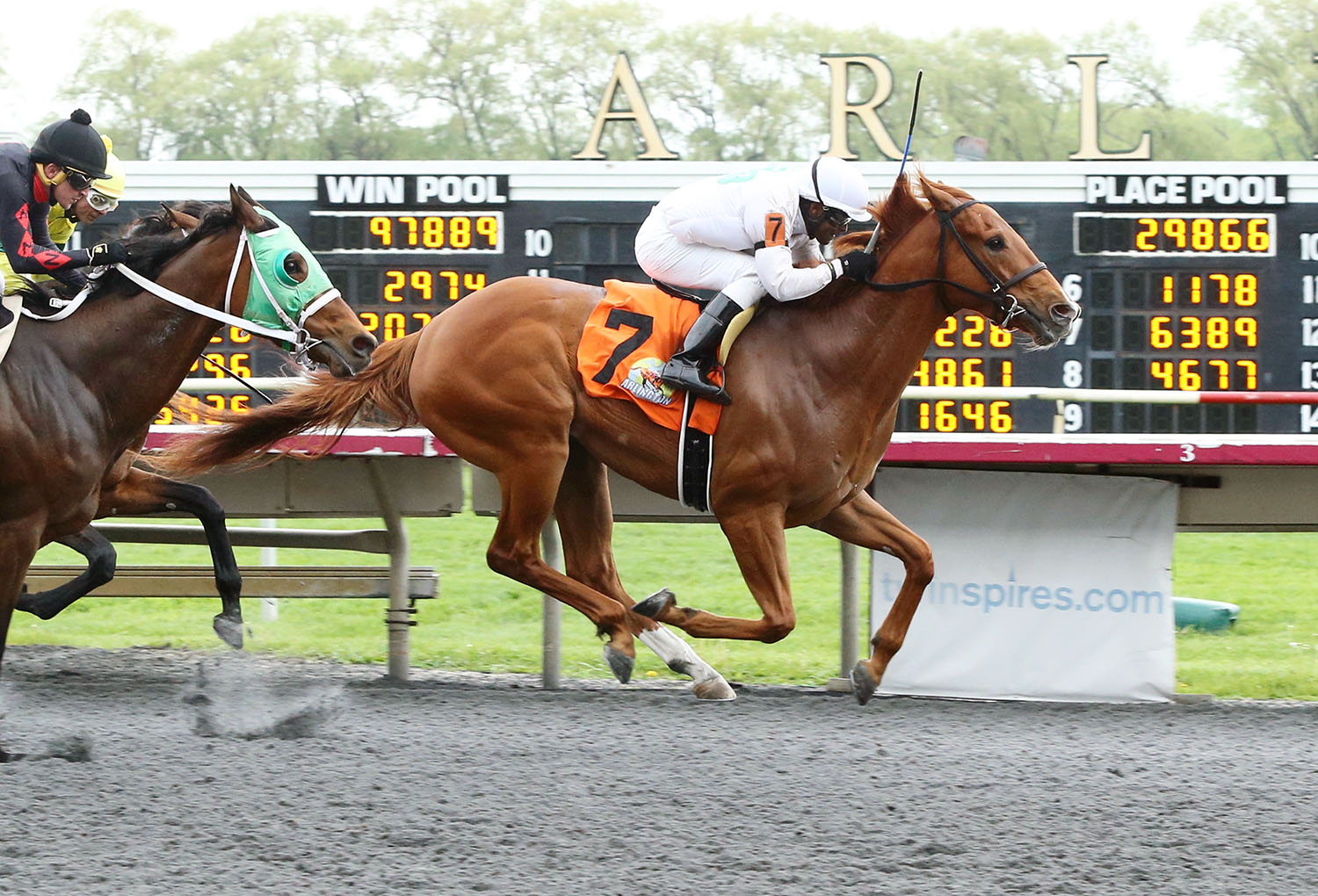 Wile E Peyote wins a May 19 maiden race