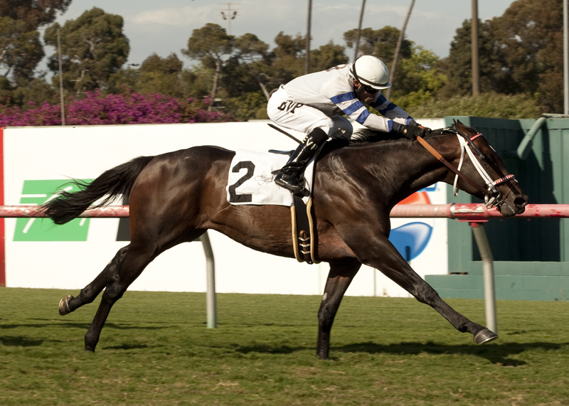 Wilkinson 5-26-2012