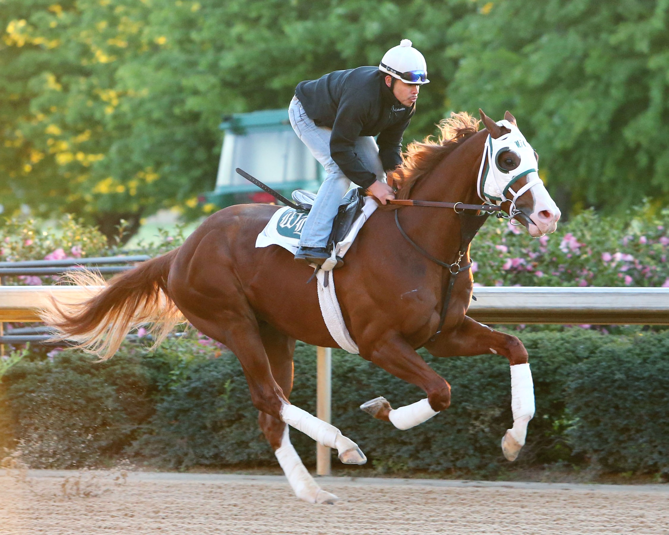 Will Take Charge, April 12, 2013 at Oaklawn