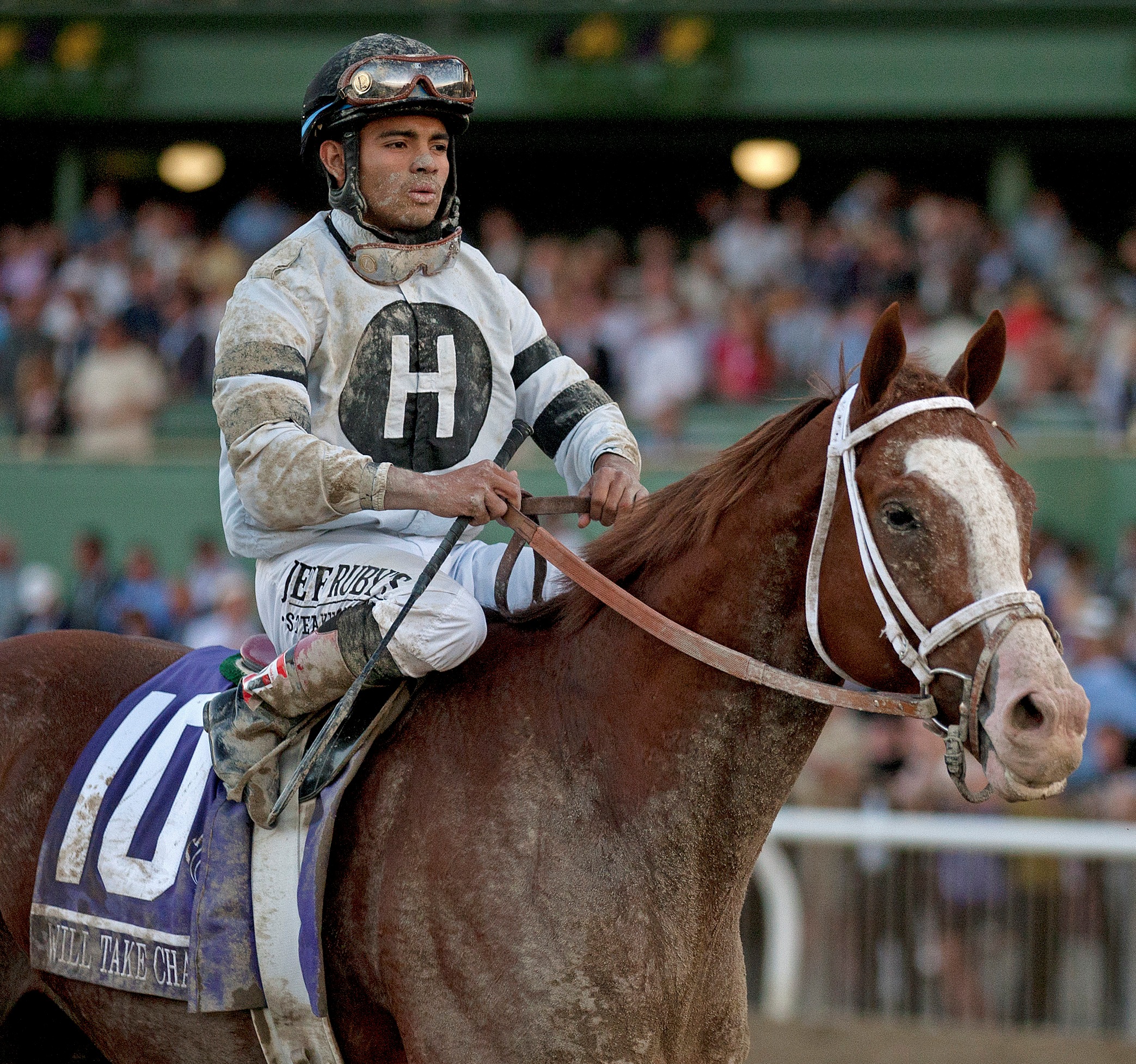 Will Take Charge, Breeders' Cup