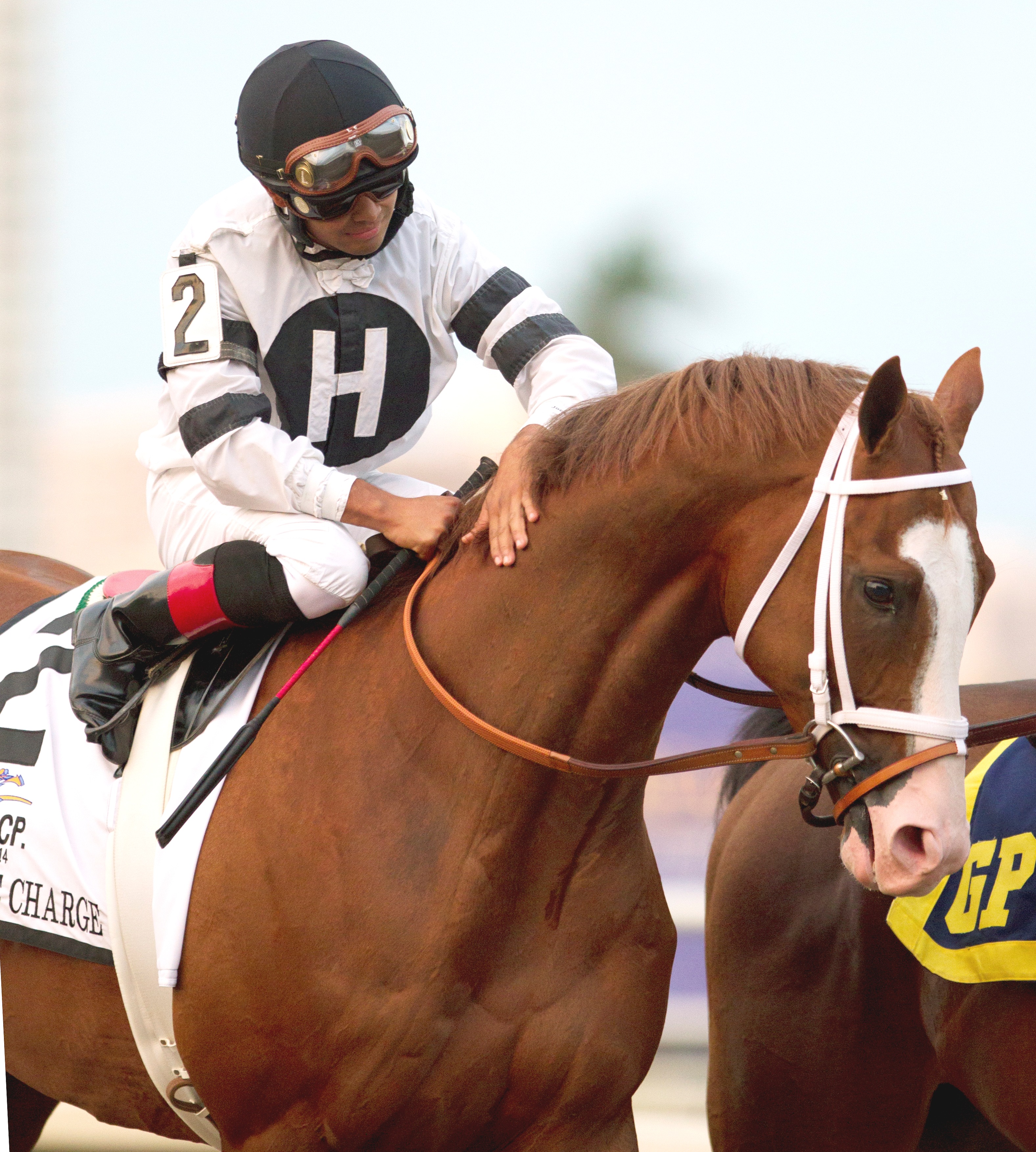 Will Take Charge, Donn Handicap