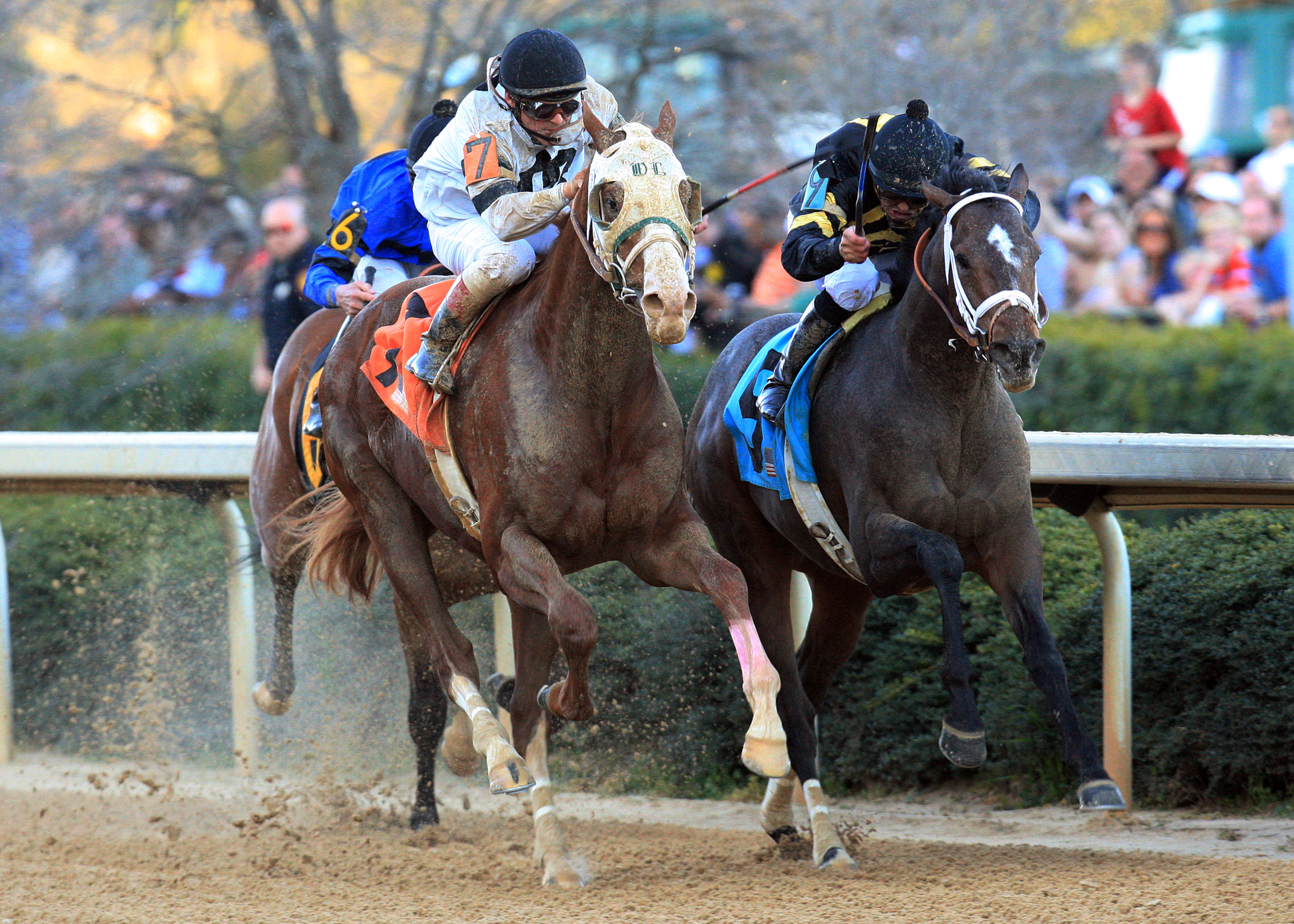 Oxbow, Will Take Charge, Rebel Stakes